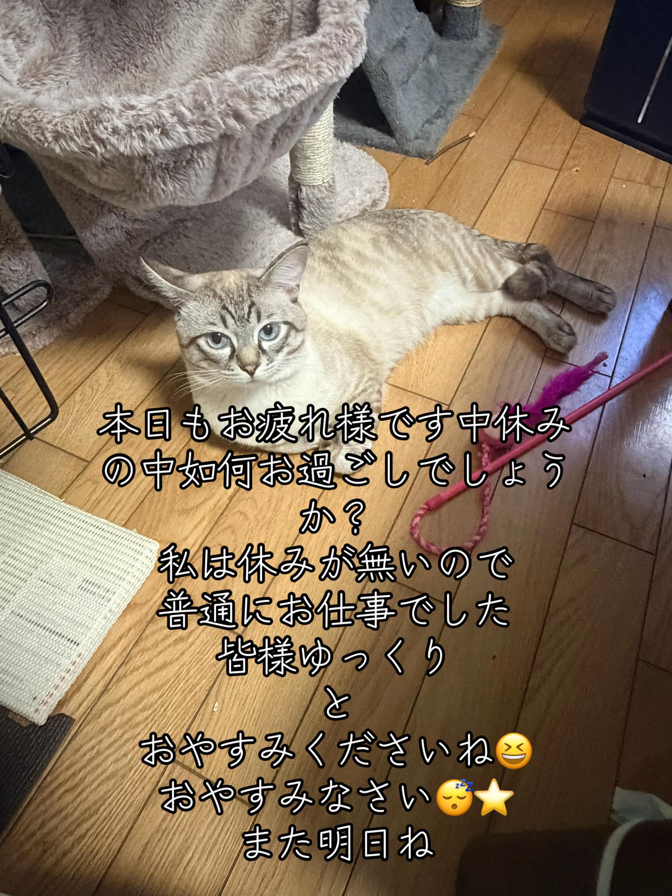 @🥀黒澤正志🥀