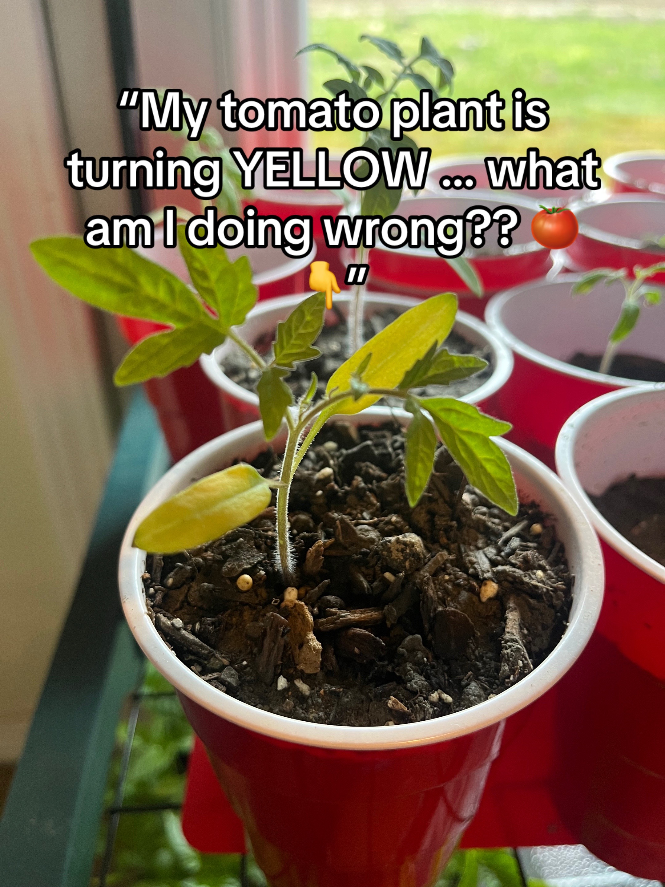 @probablyoverwatering