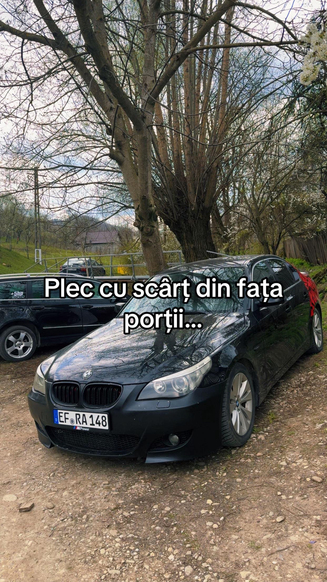 @Andreea-Diana