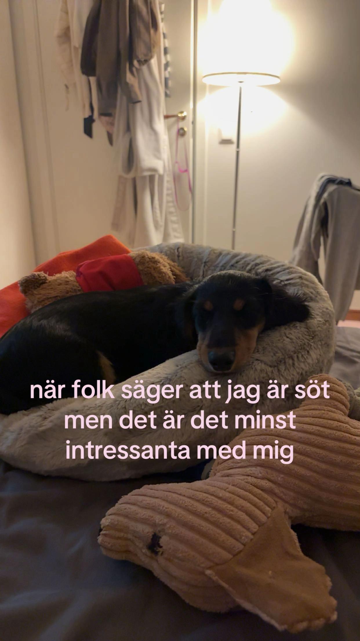 @linda spam