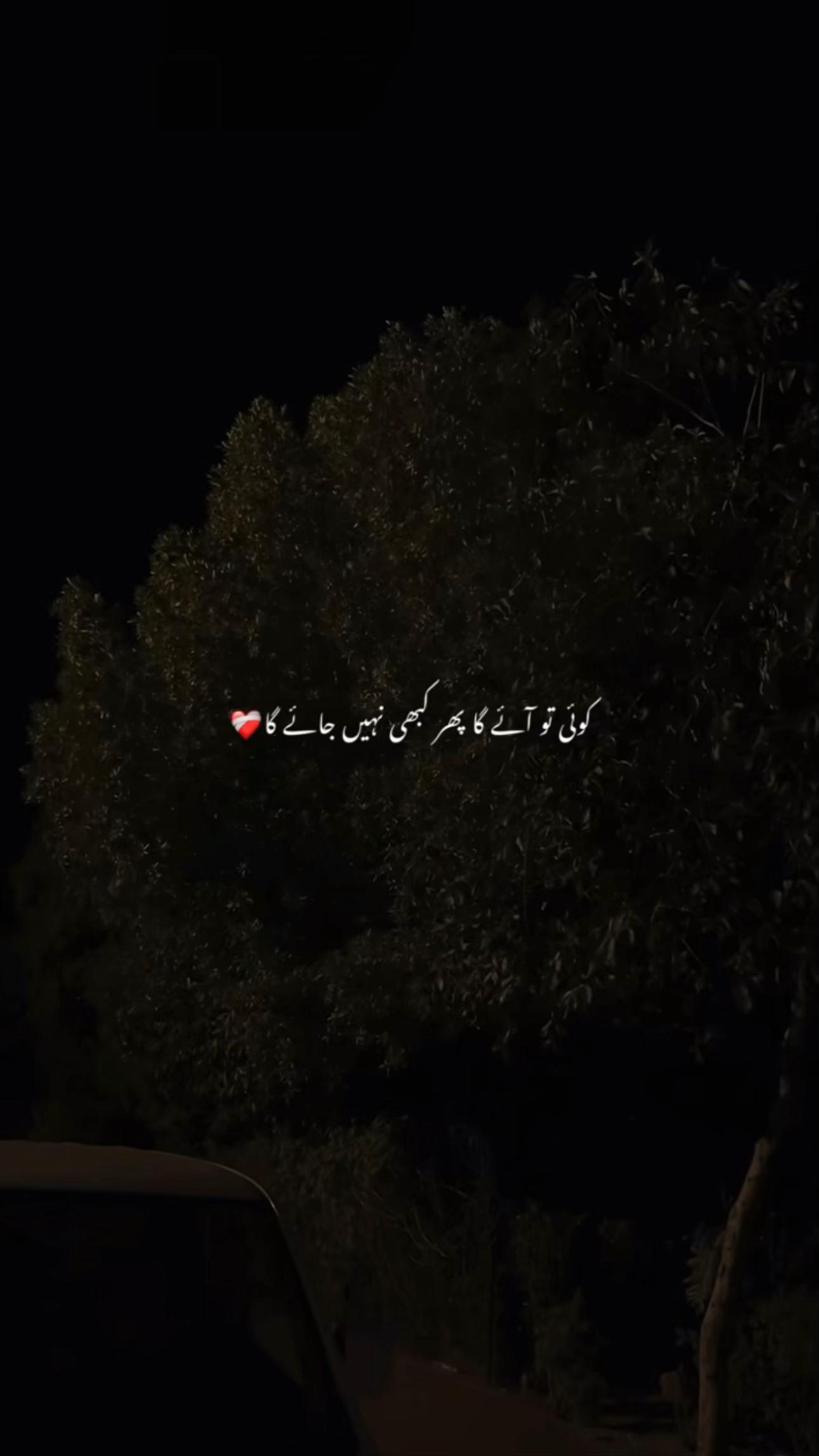 @عمارہ چیمہ🦢