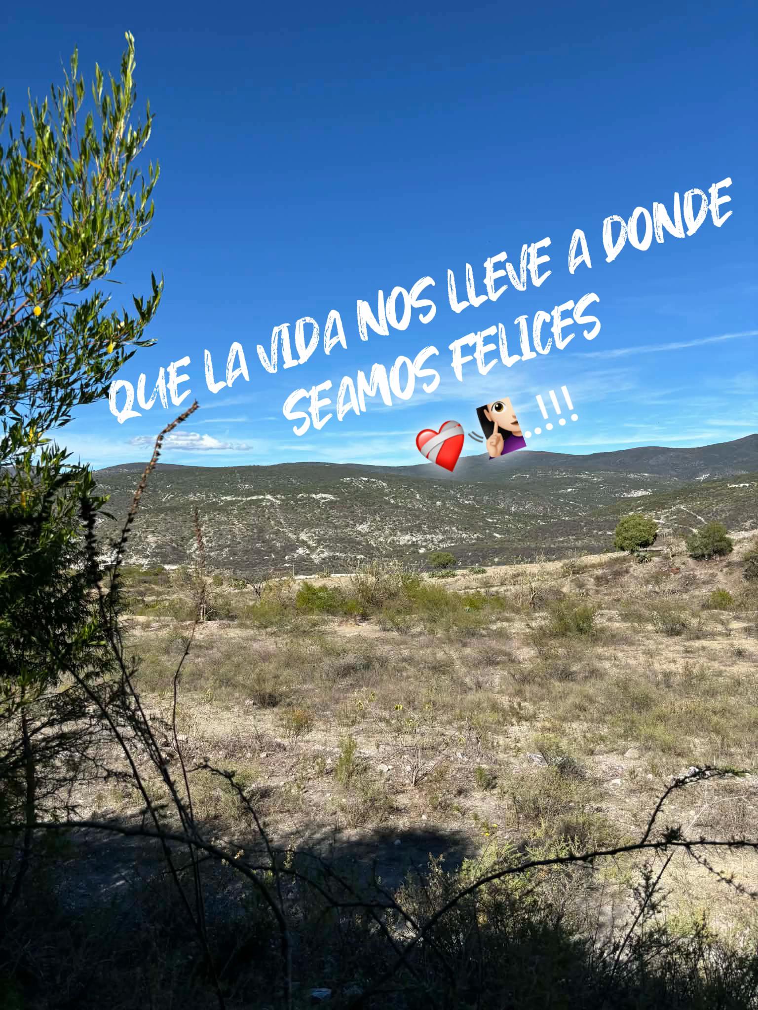 @Lilis Ortiz