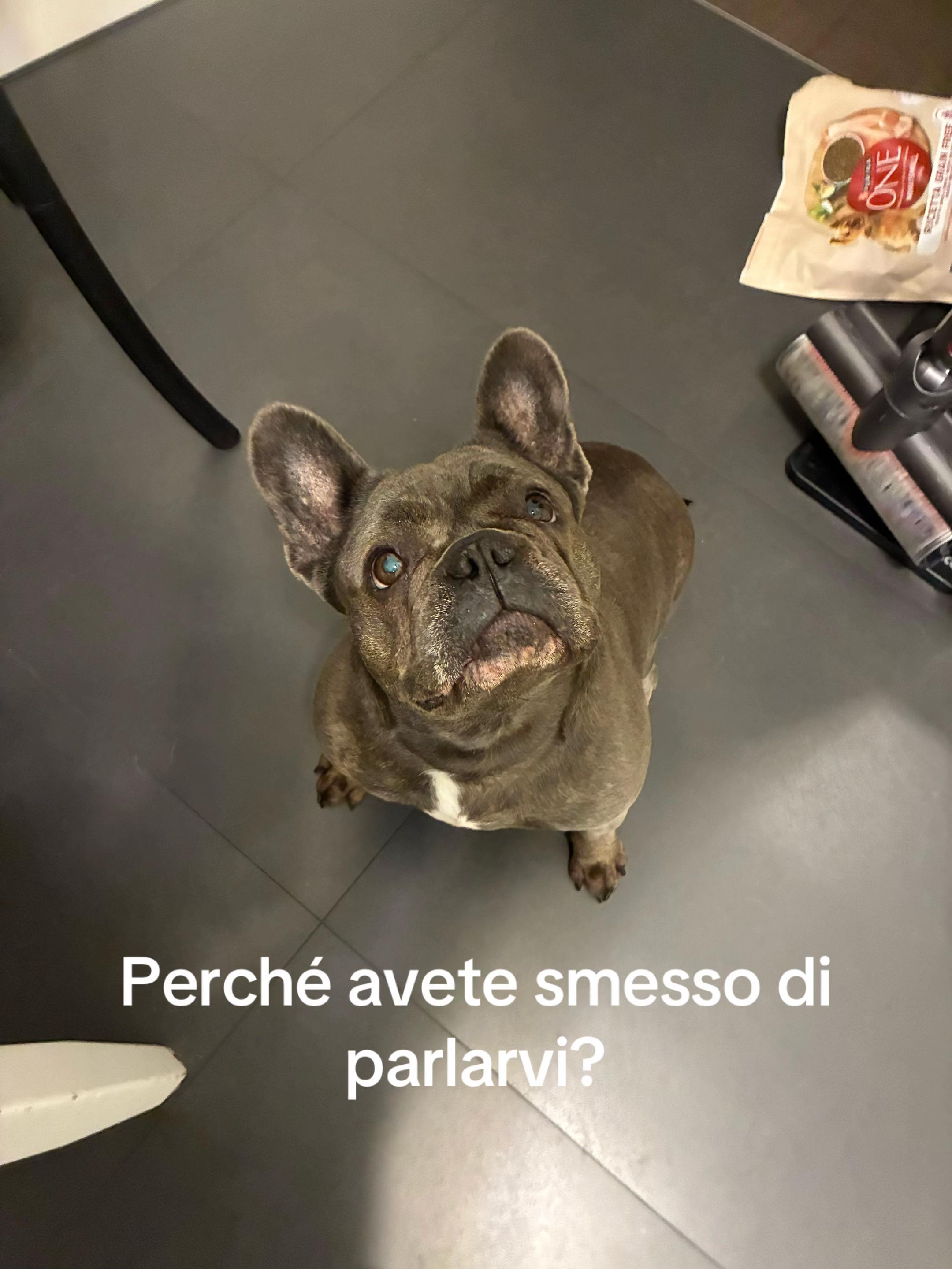 @Federico&Magic