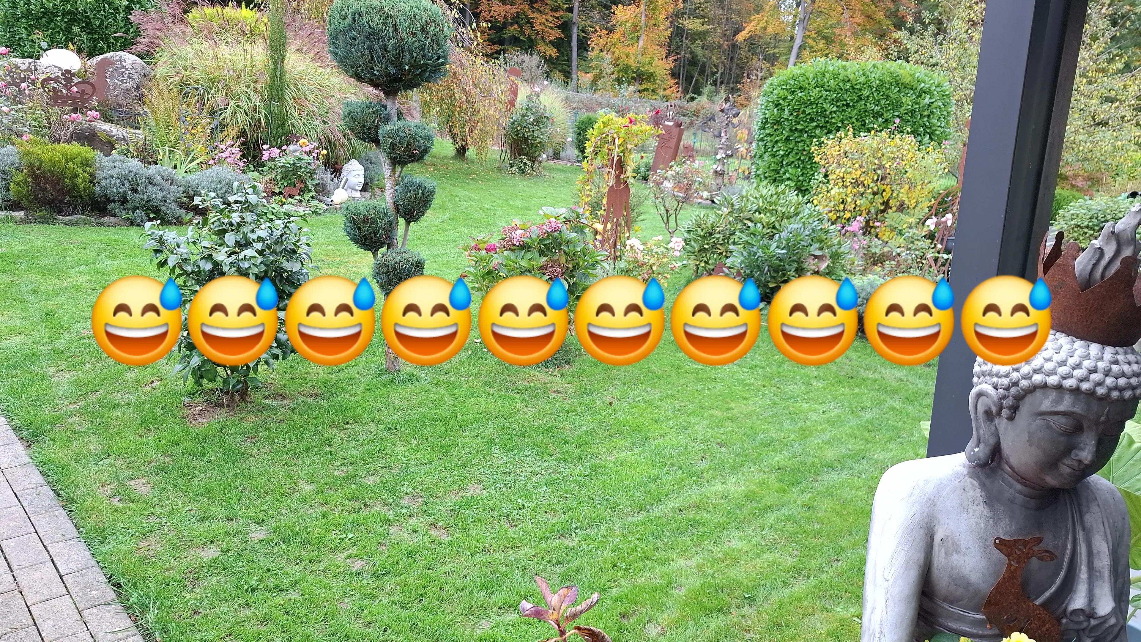 @hildegardklingebiel