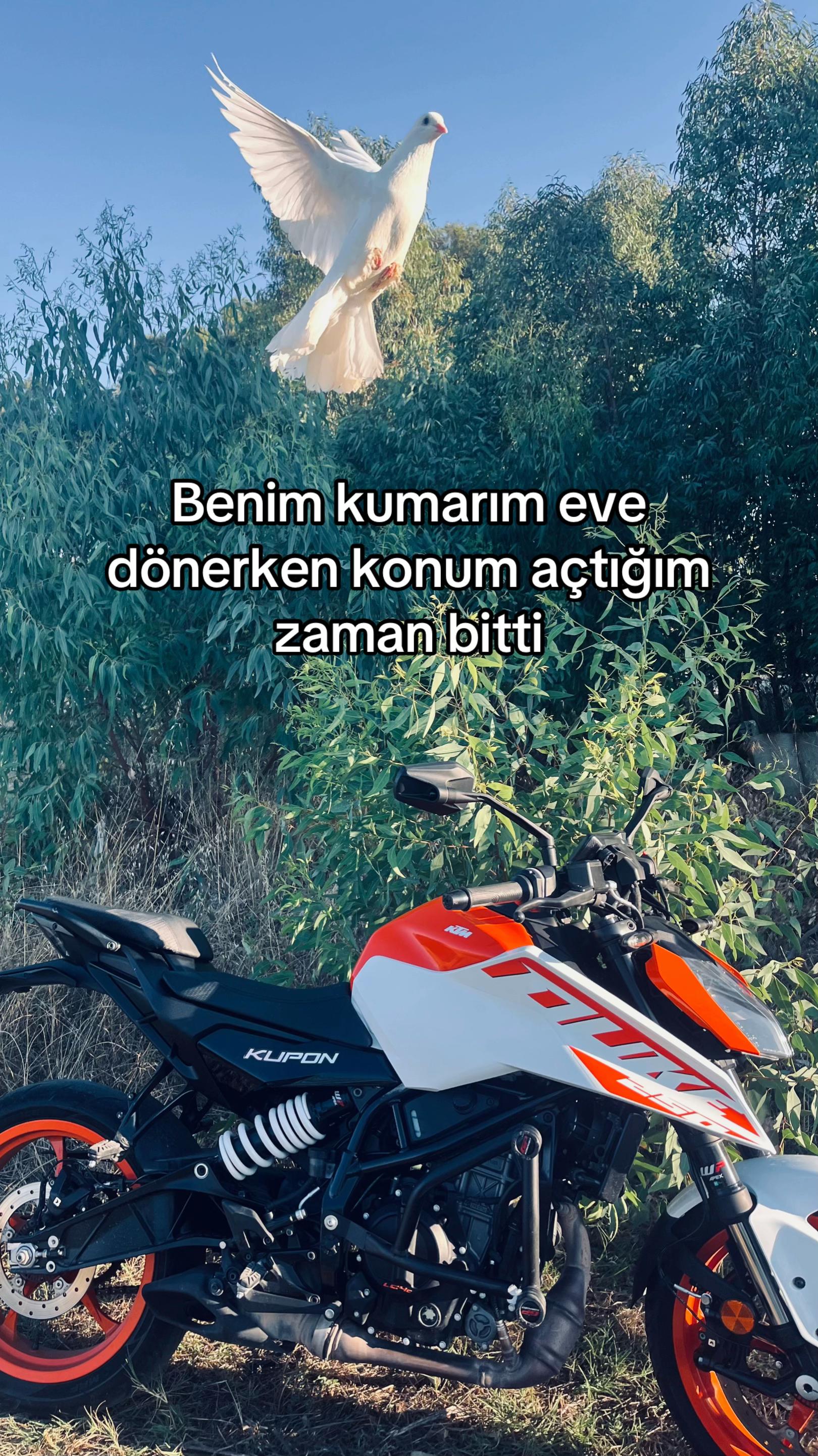 @jjeerryy250