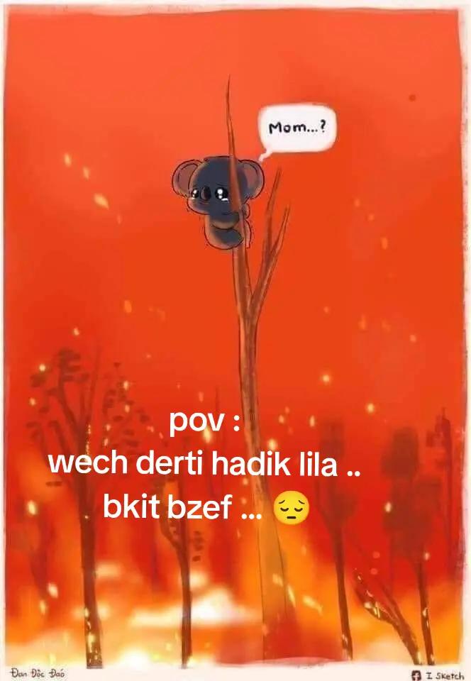 @By Nawel