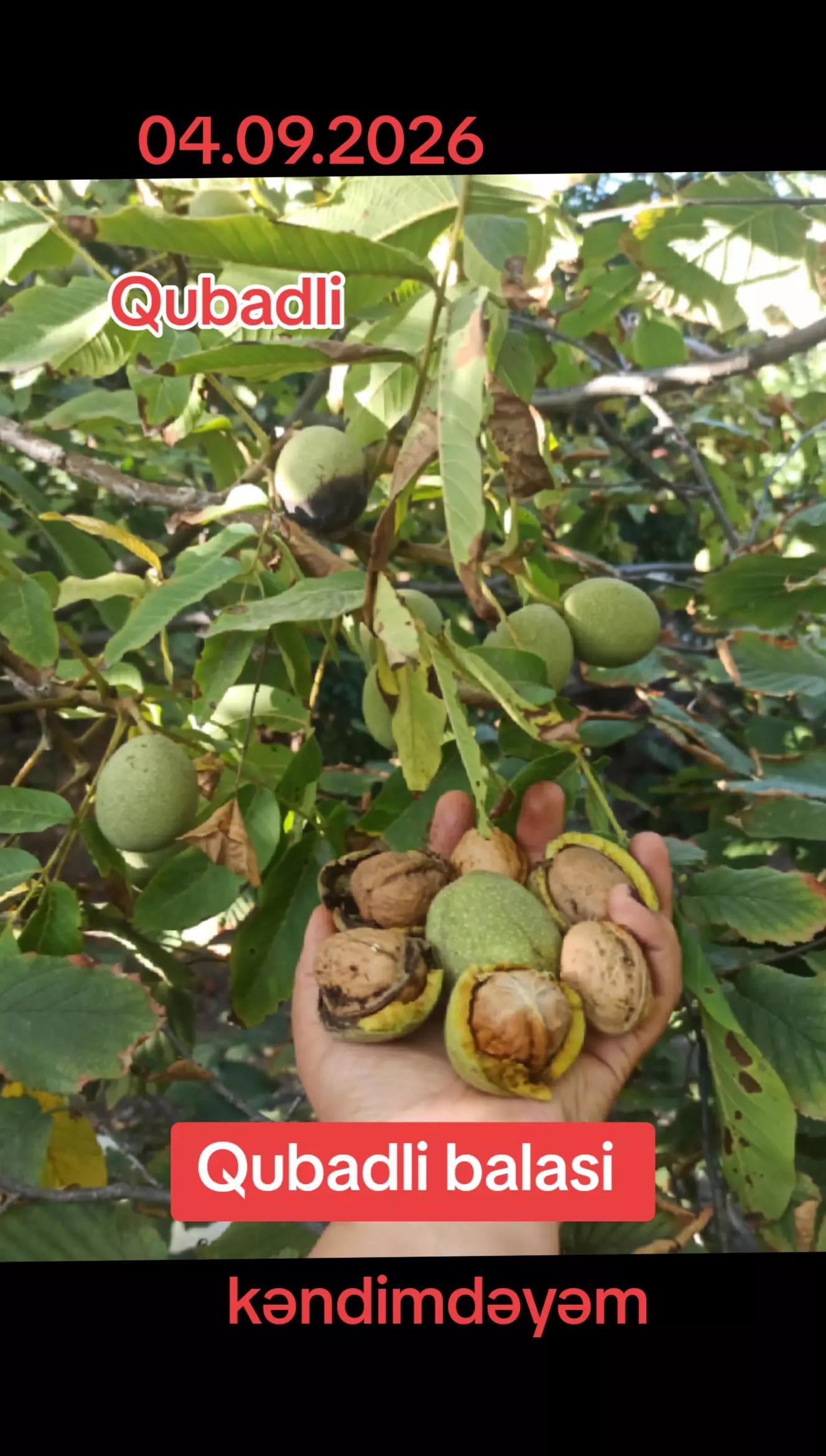 @Qubadlı qəhrəmanlar diyarı