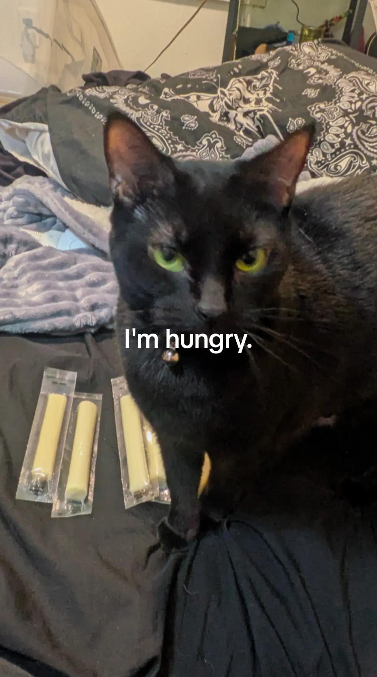 @FINN.80085