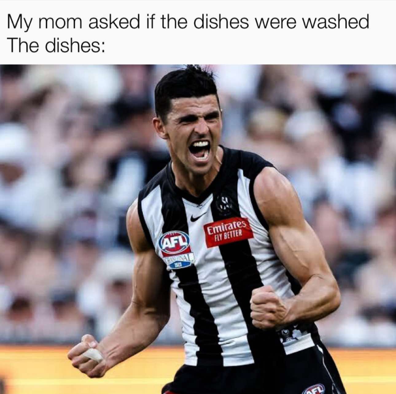 @Dom Sheed 🦅