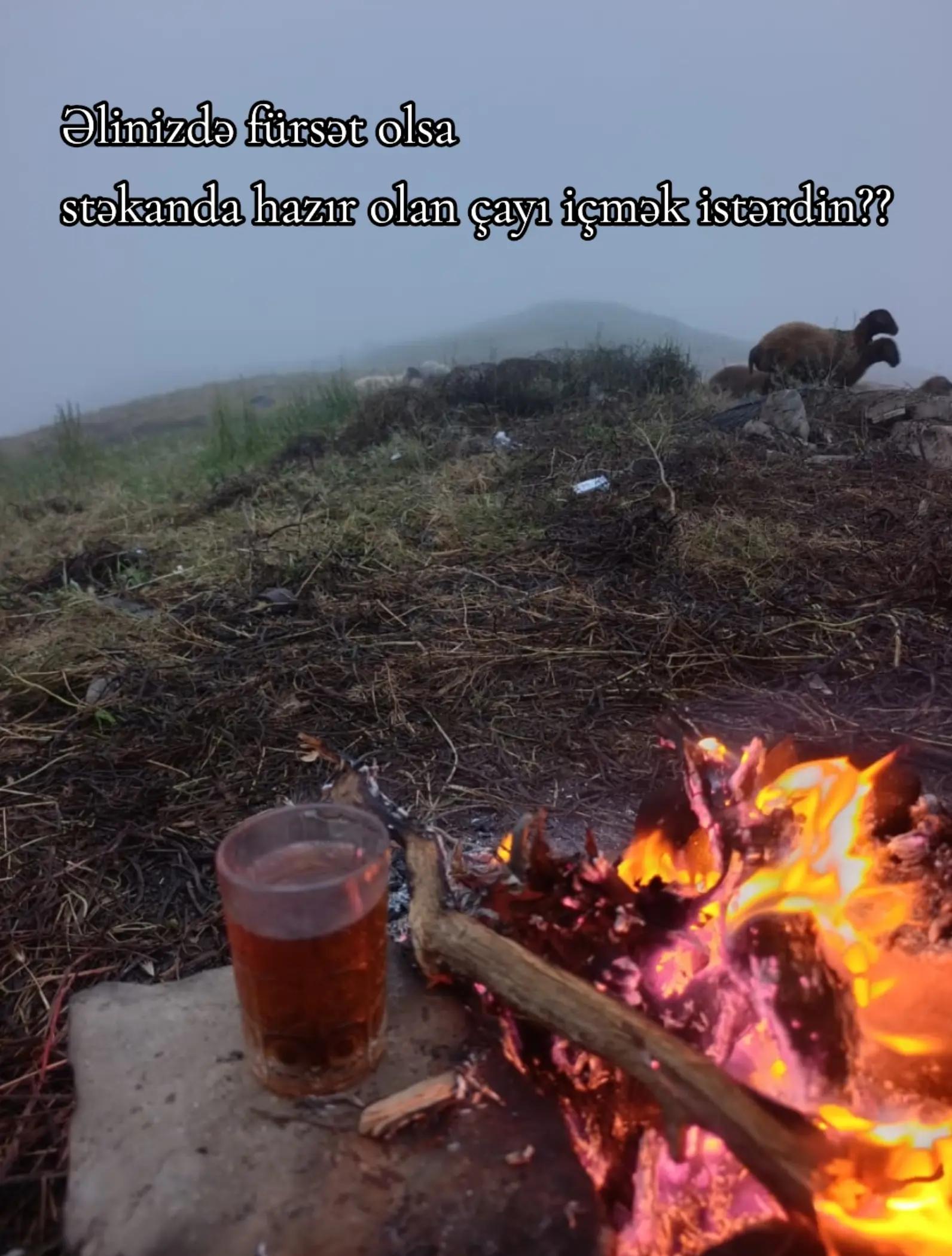 @TİMA