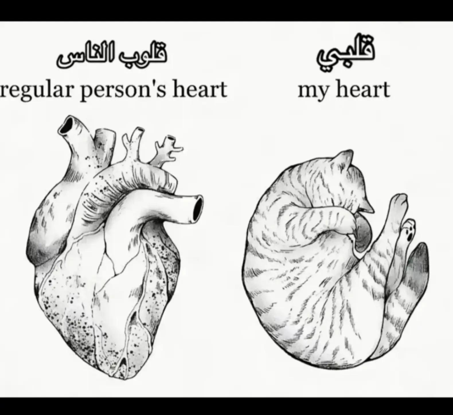 @Masal
