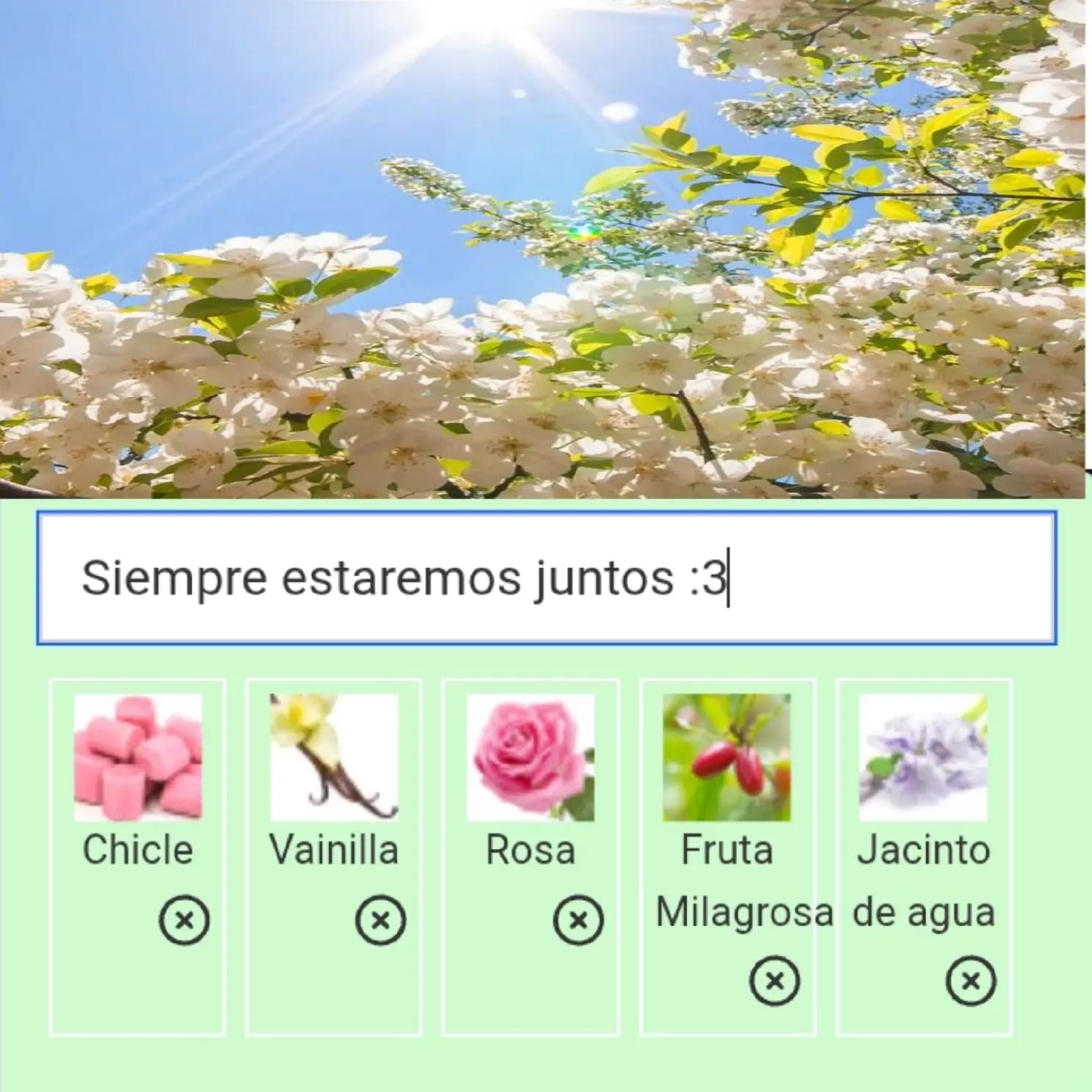 @🍥⟬𝚂𝚊𝚢𝚘𝚛𝚒⟭🍥