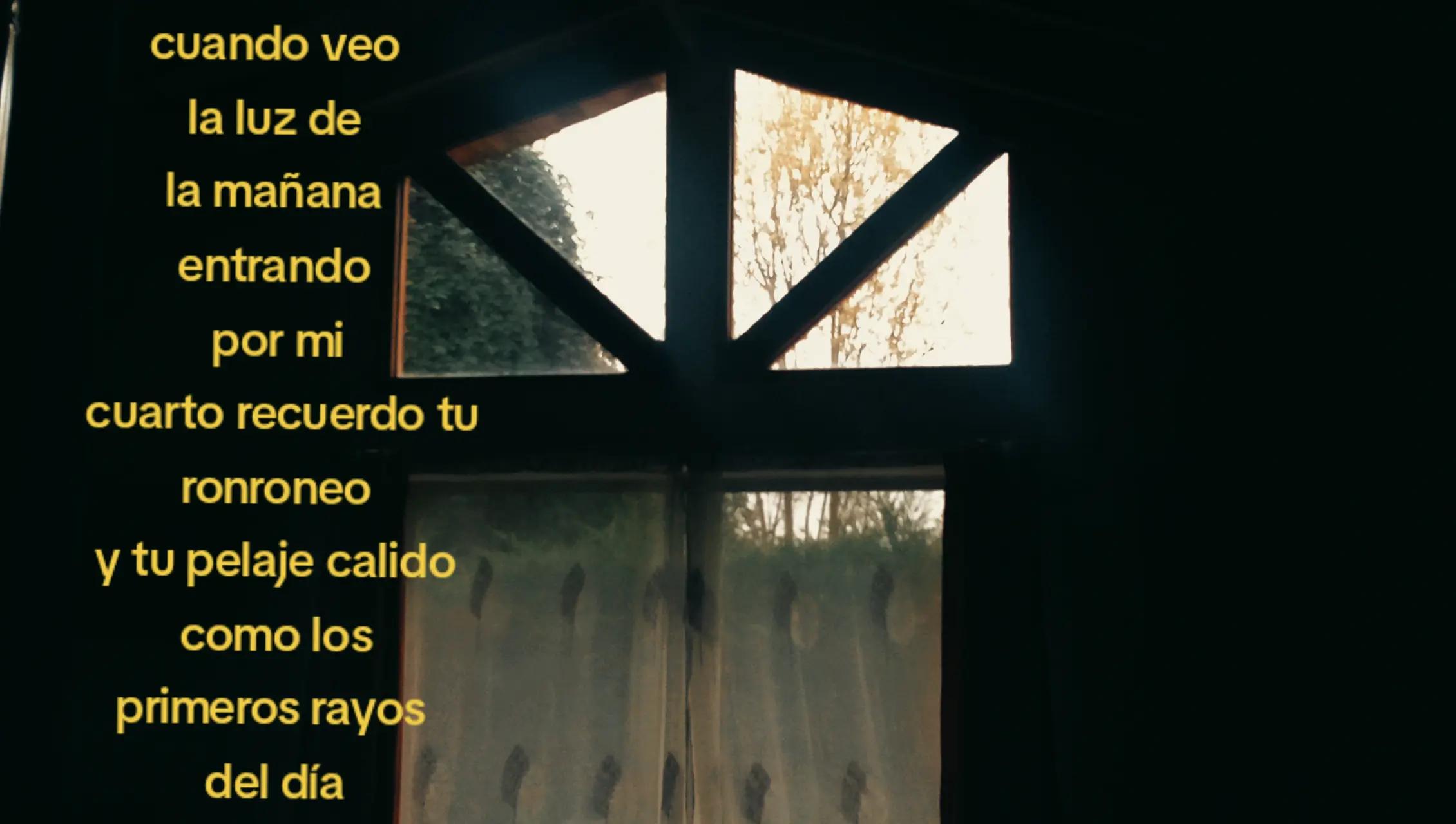 @āš šš~š„(*ĖįĖ*)