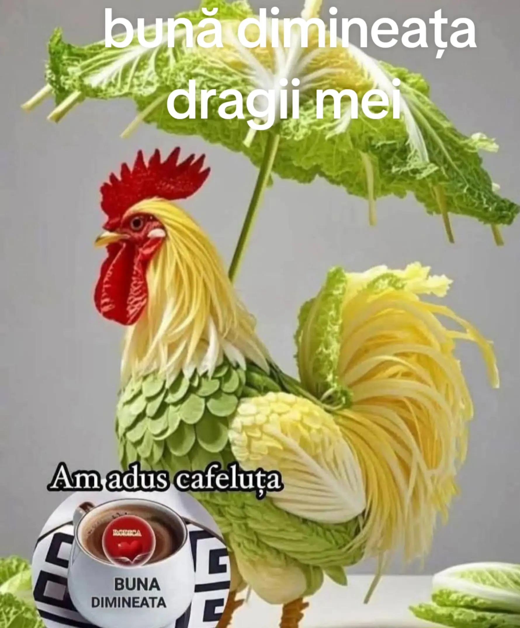 @Elena