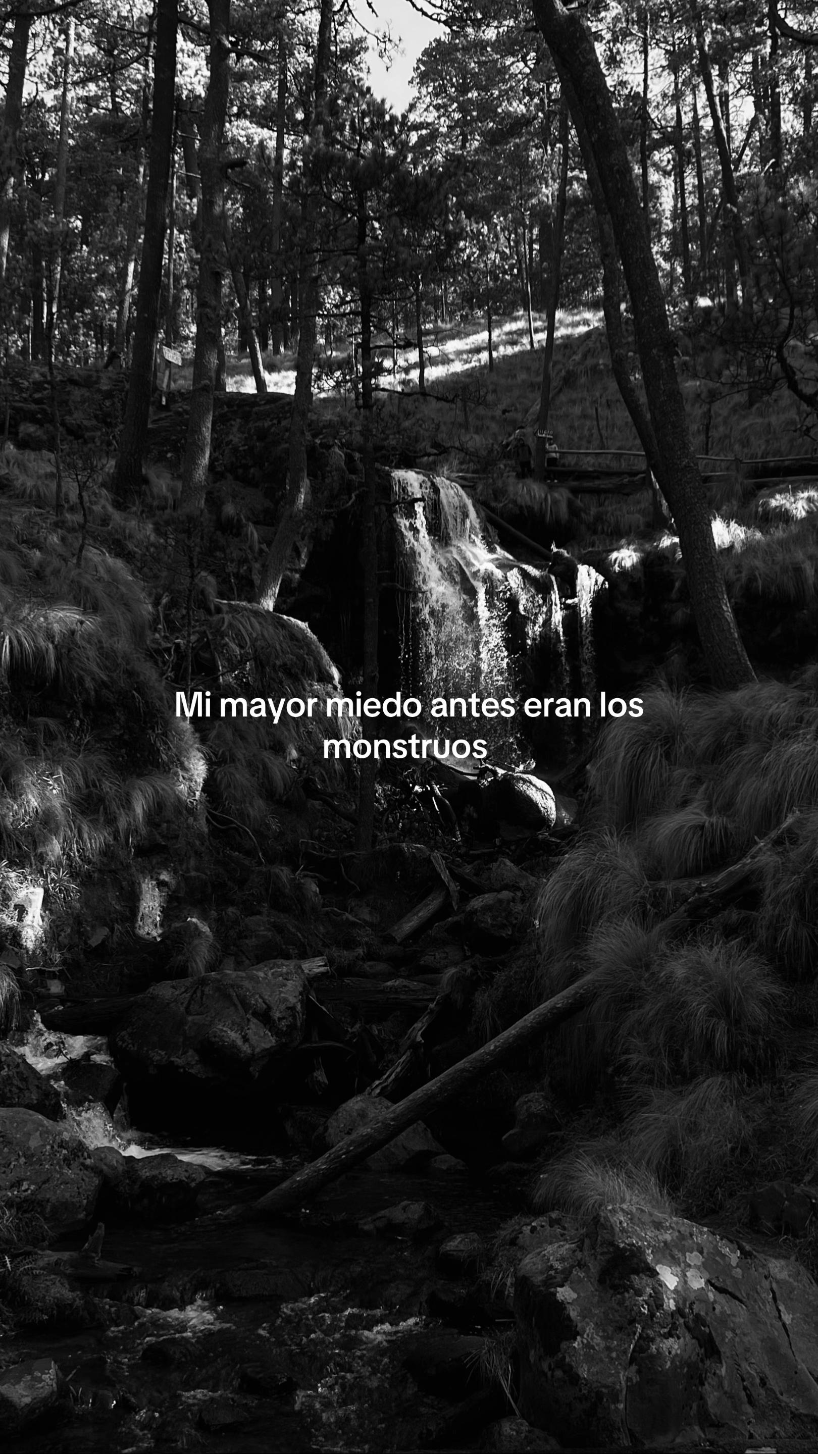 @sad.ctxh