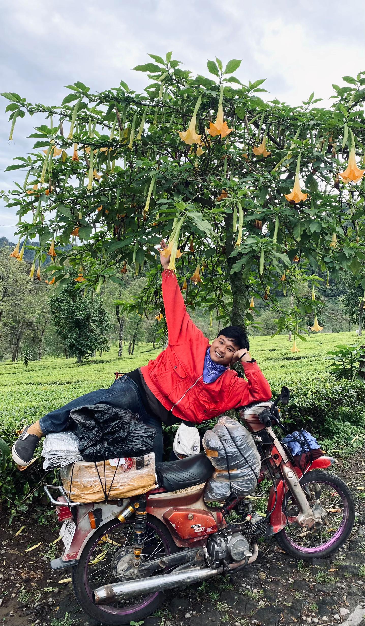 @jarangpulang