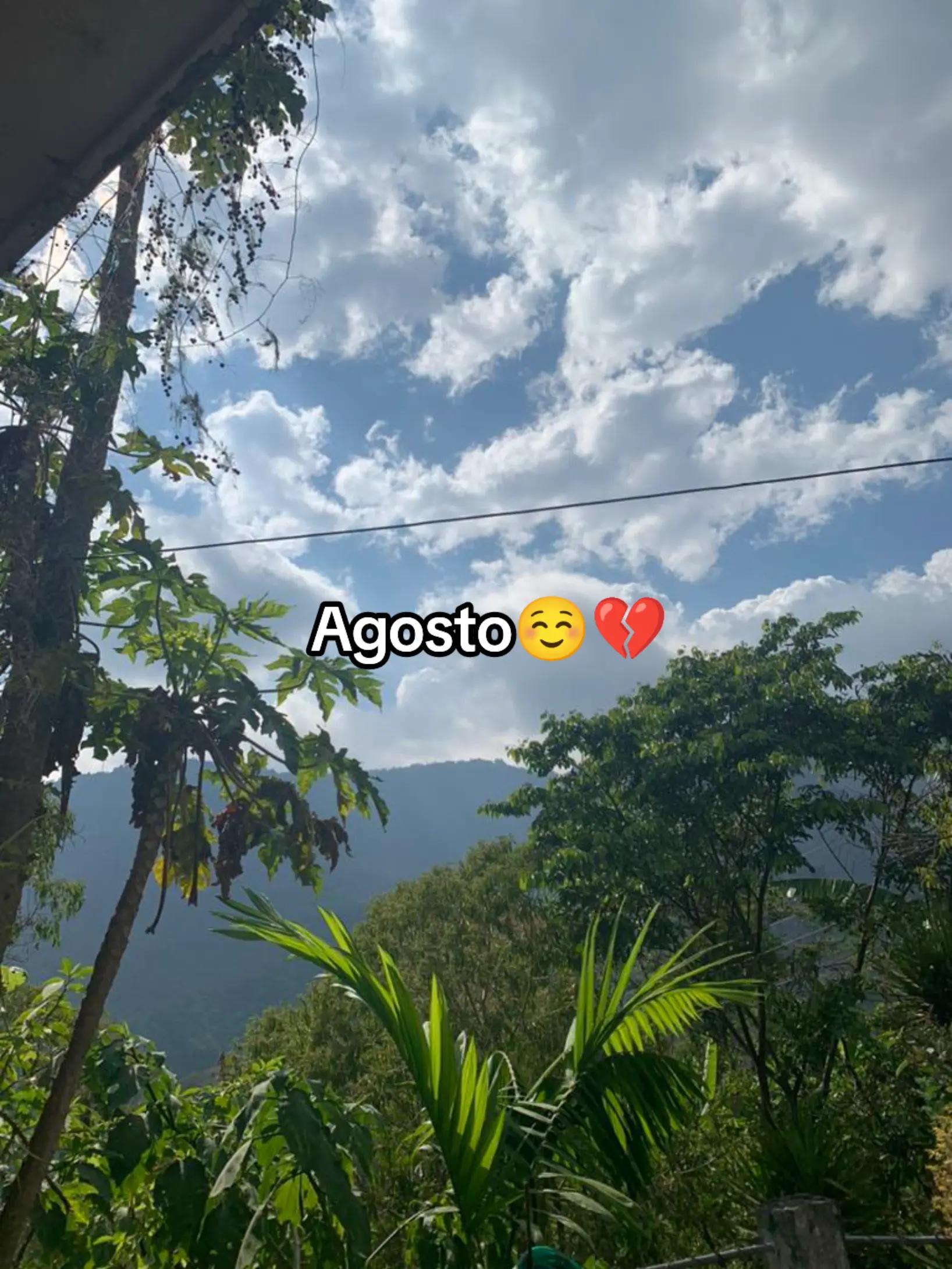 @:<Daya🐣❤️🩹