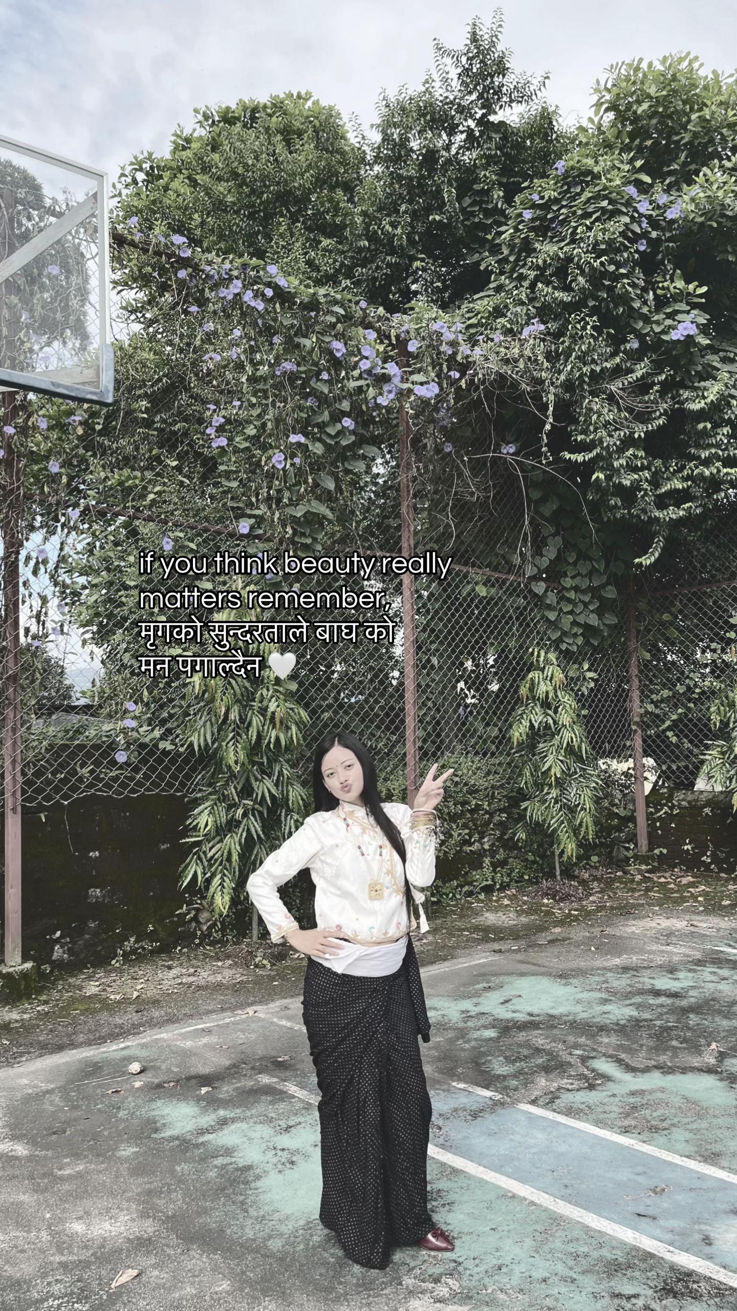 @Pᥫ᭡