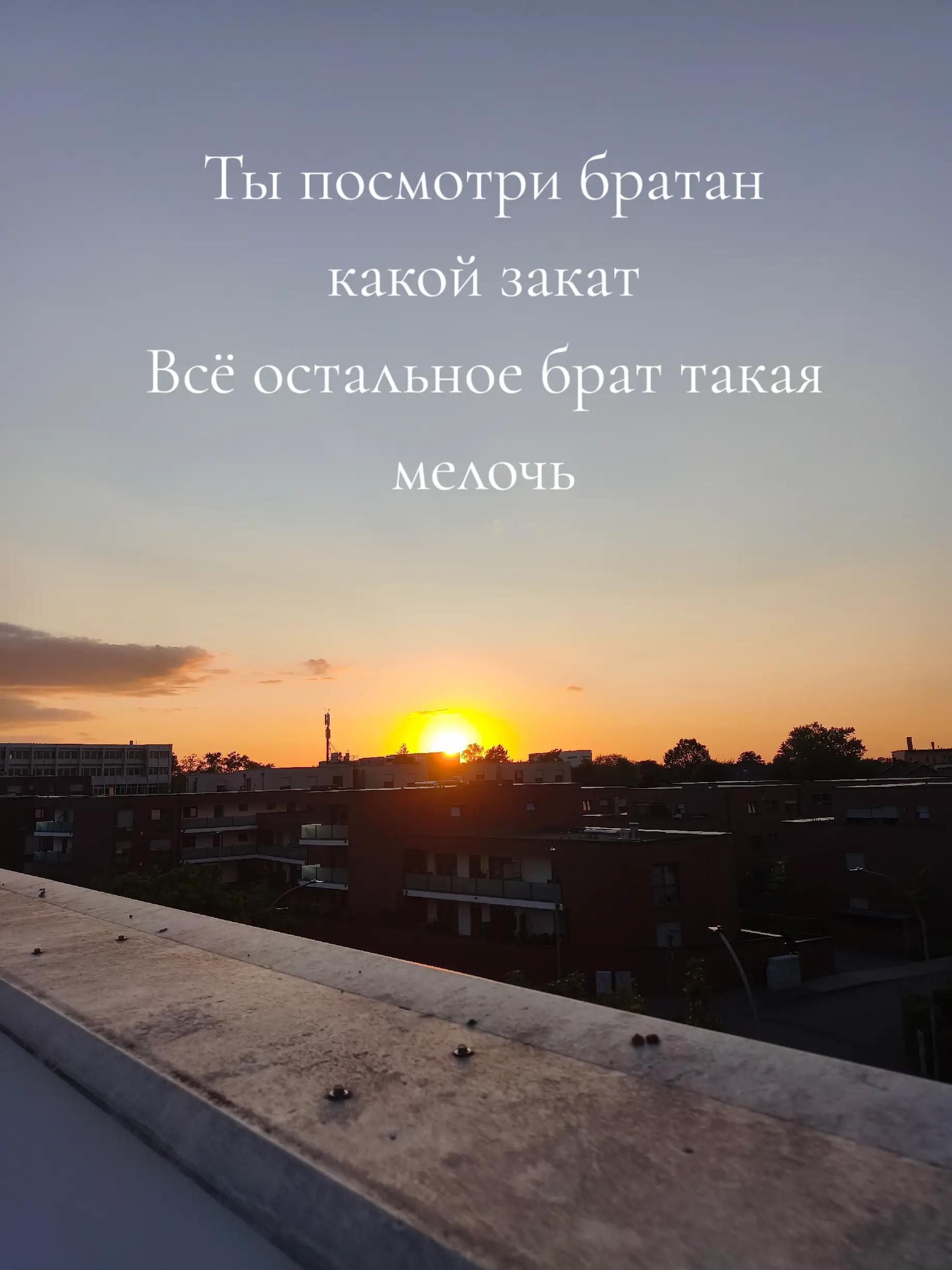 @🇺🇦BERSERK🇺🇦