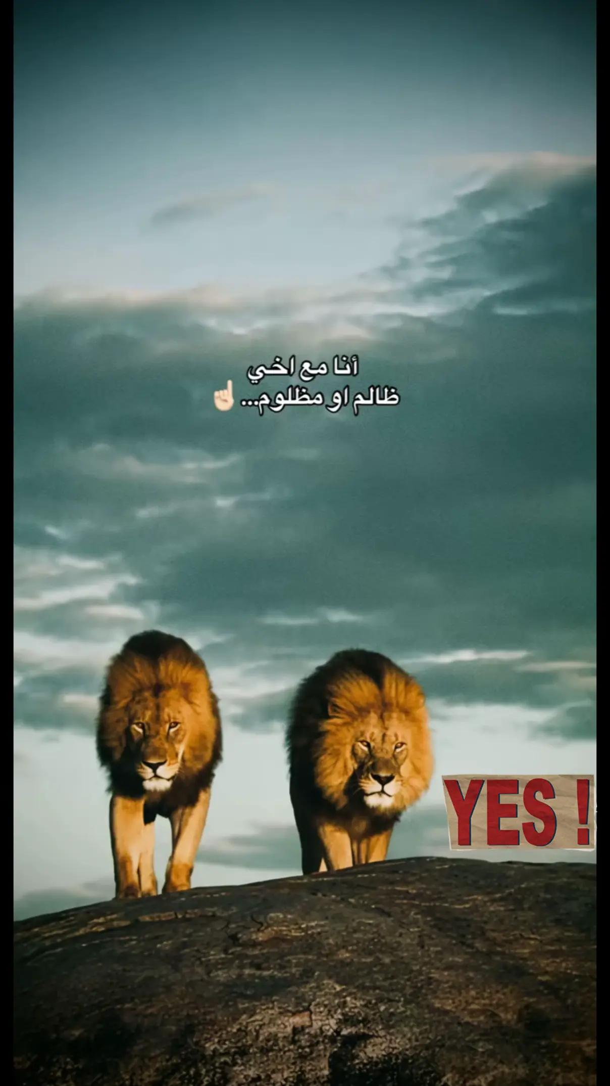 @مِـحً ـمِـدُ 😍👏🏻.