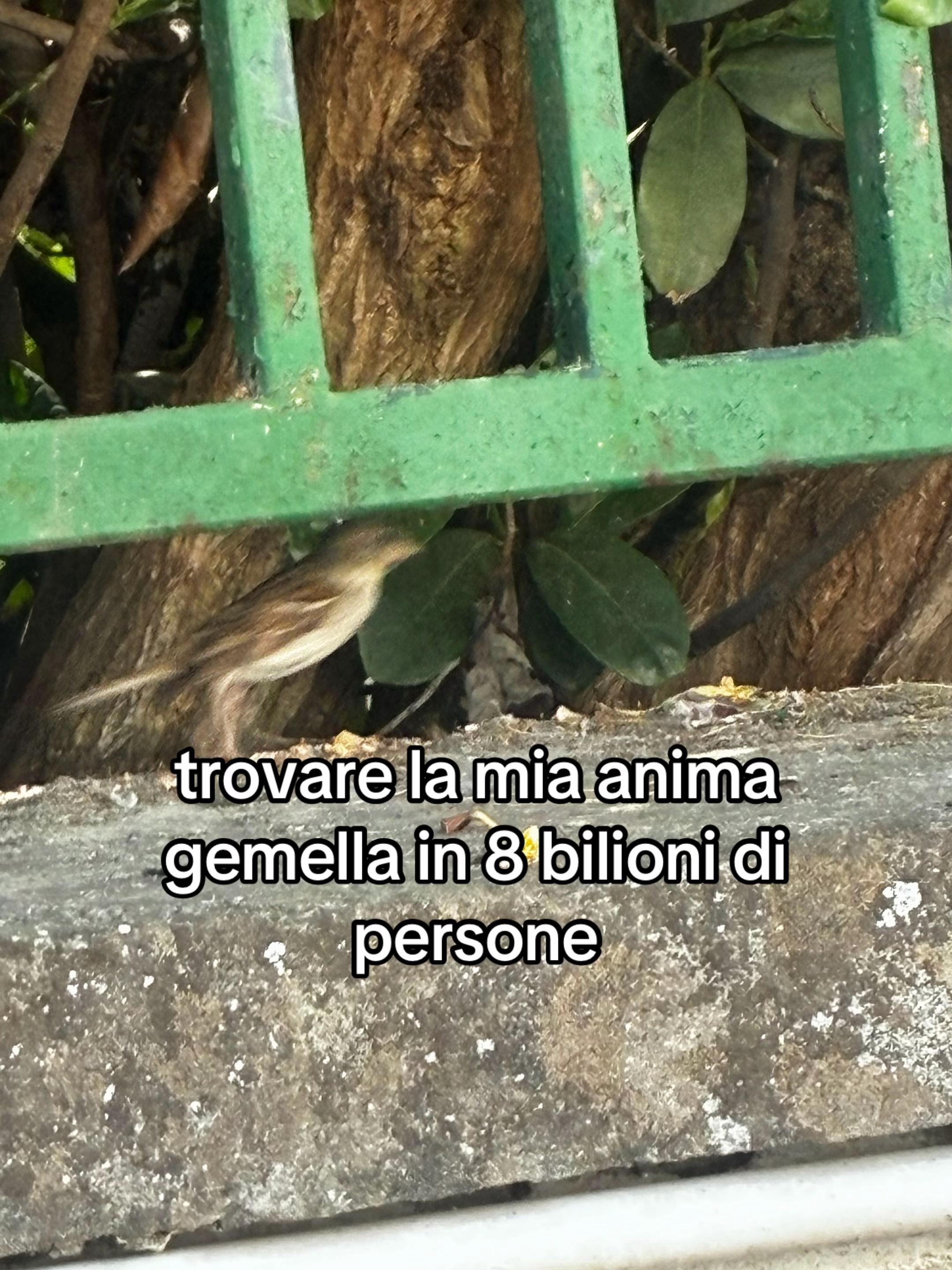 @ʀᴇᴛᴀʀᴅᴇᴀᴅ