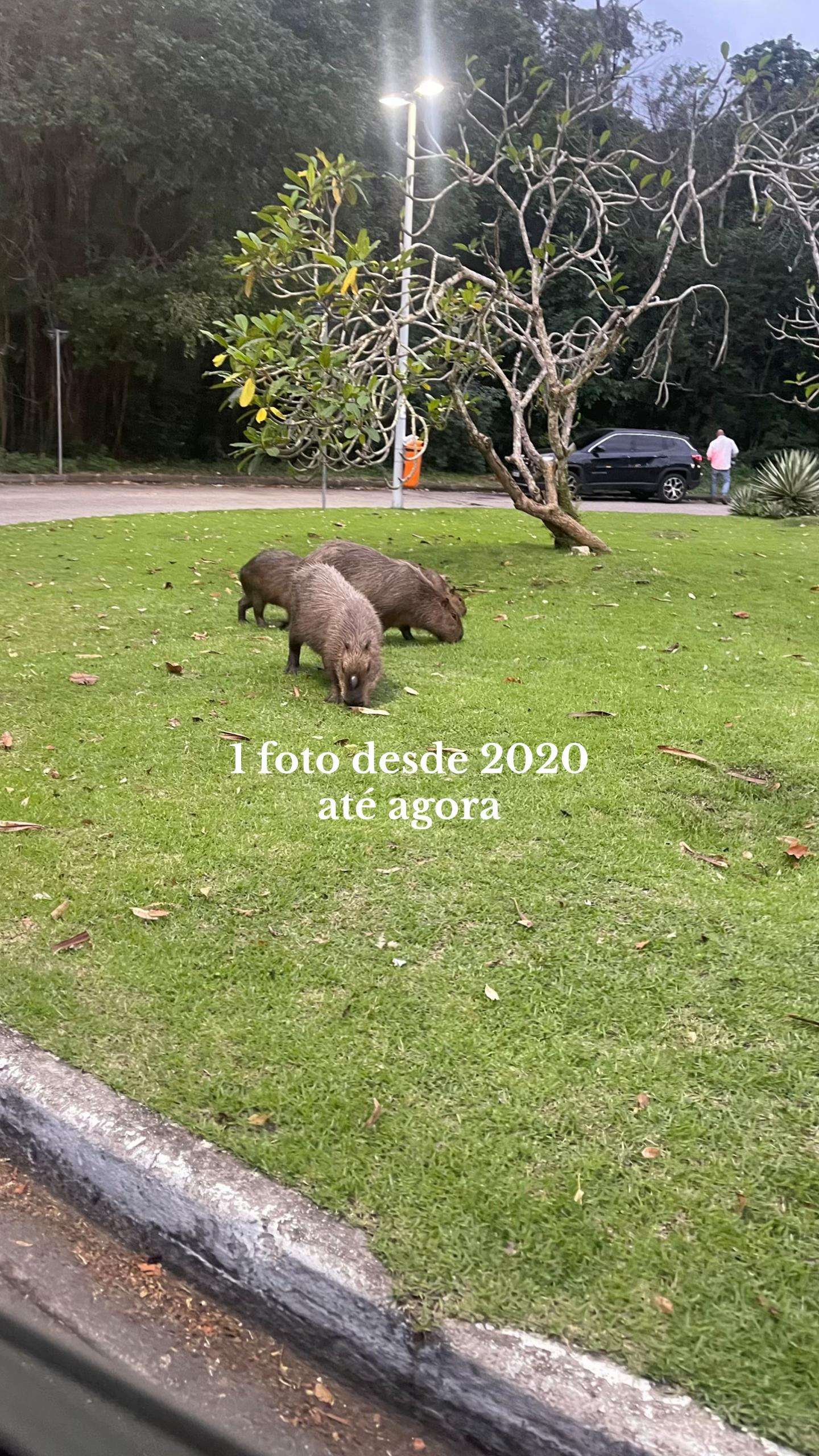 @La&iacute;zaaa