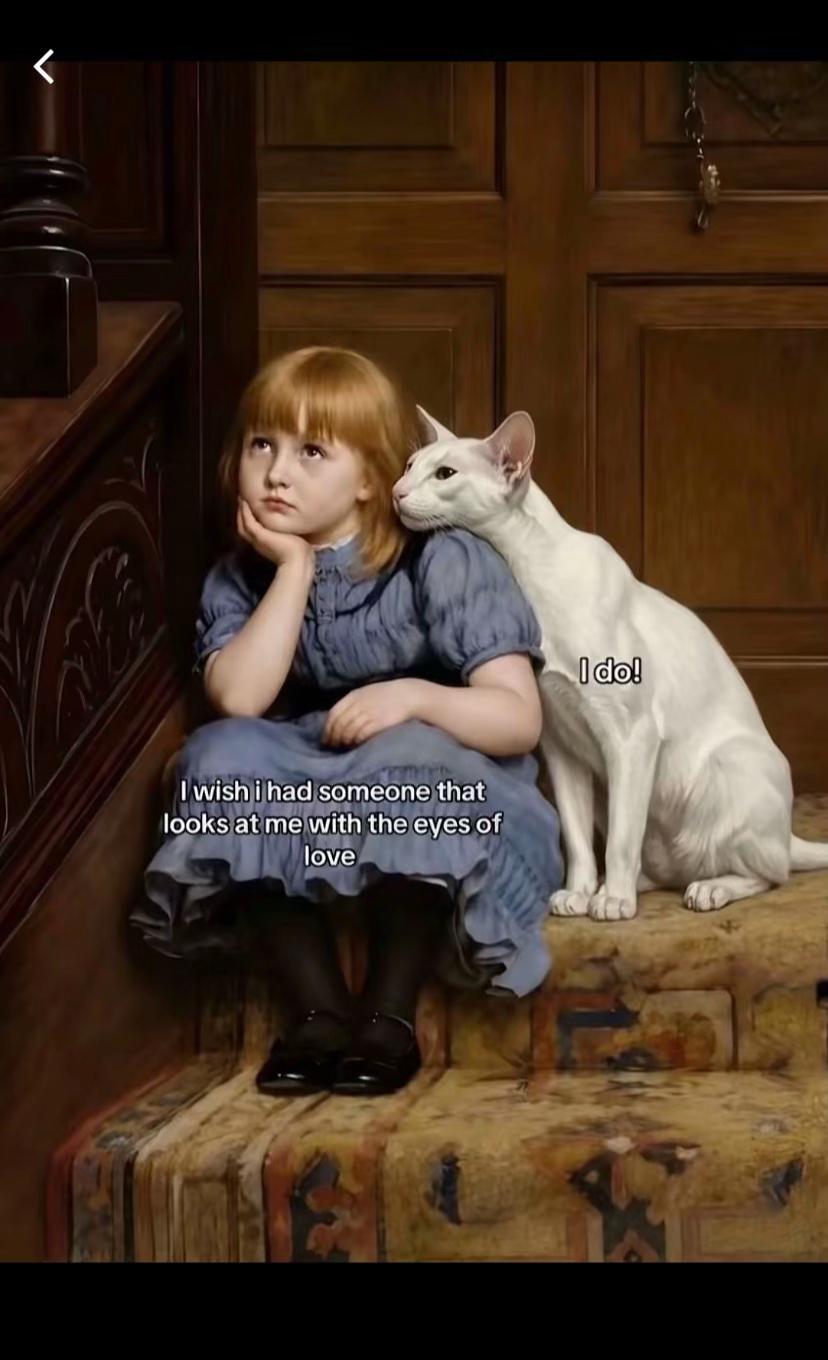 @chloe19500