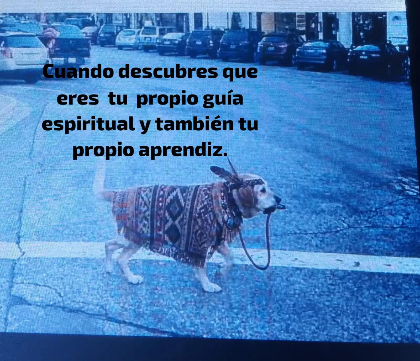 @normita