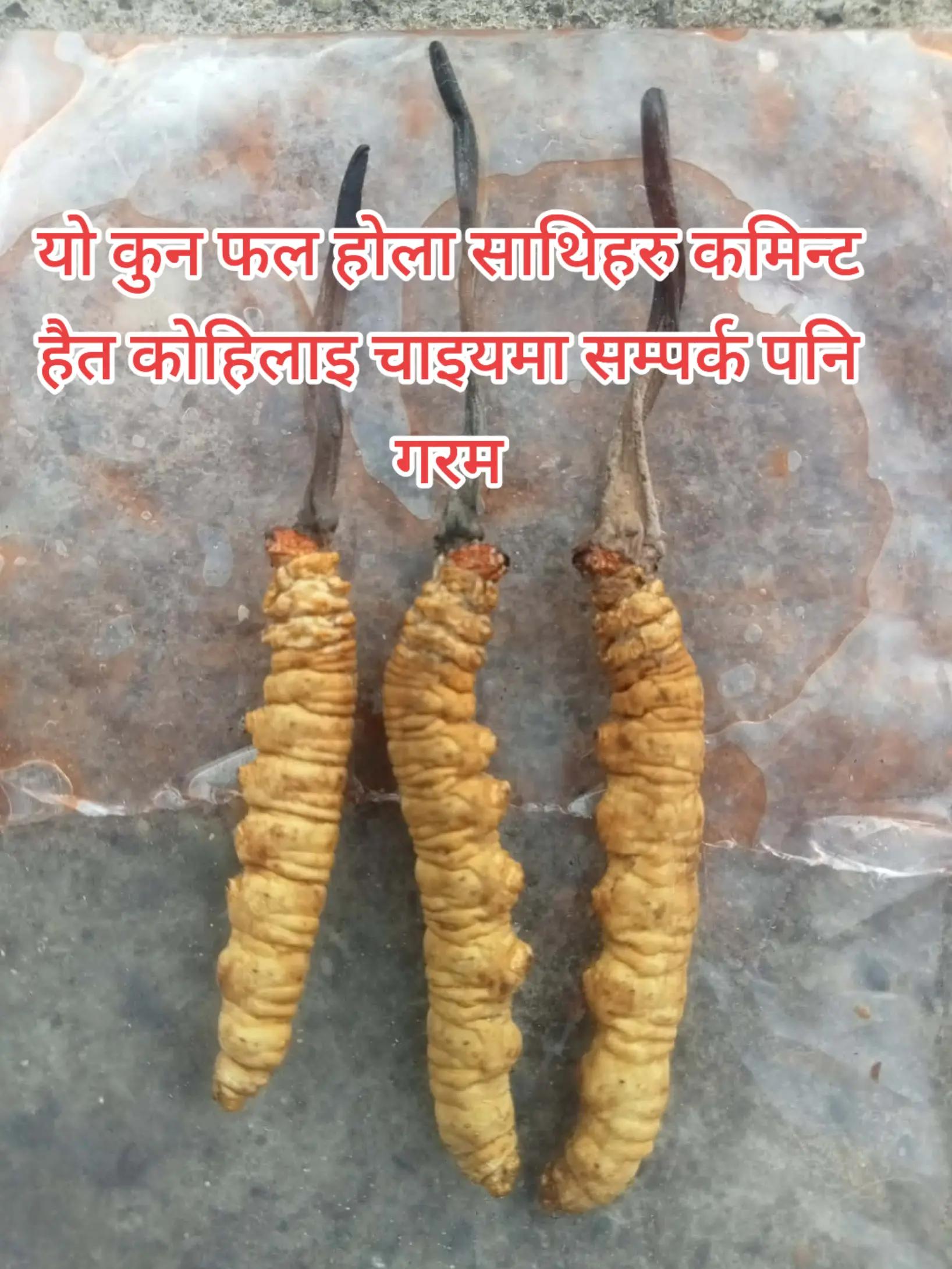 @prince sangat