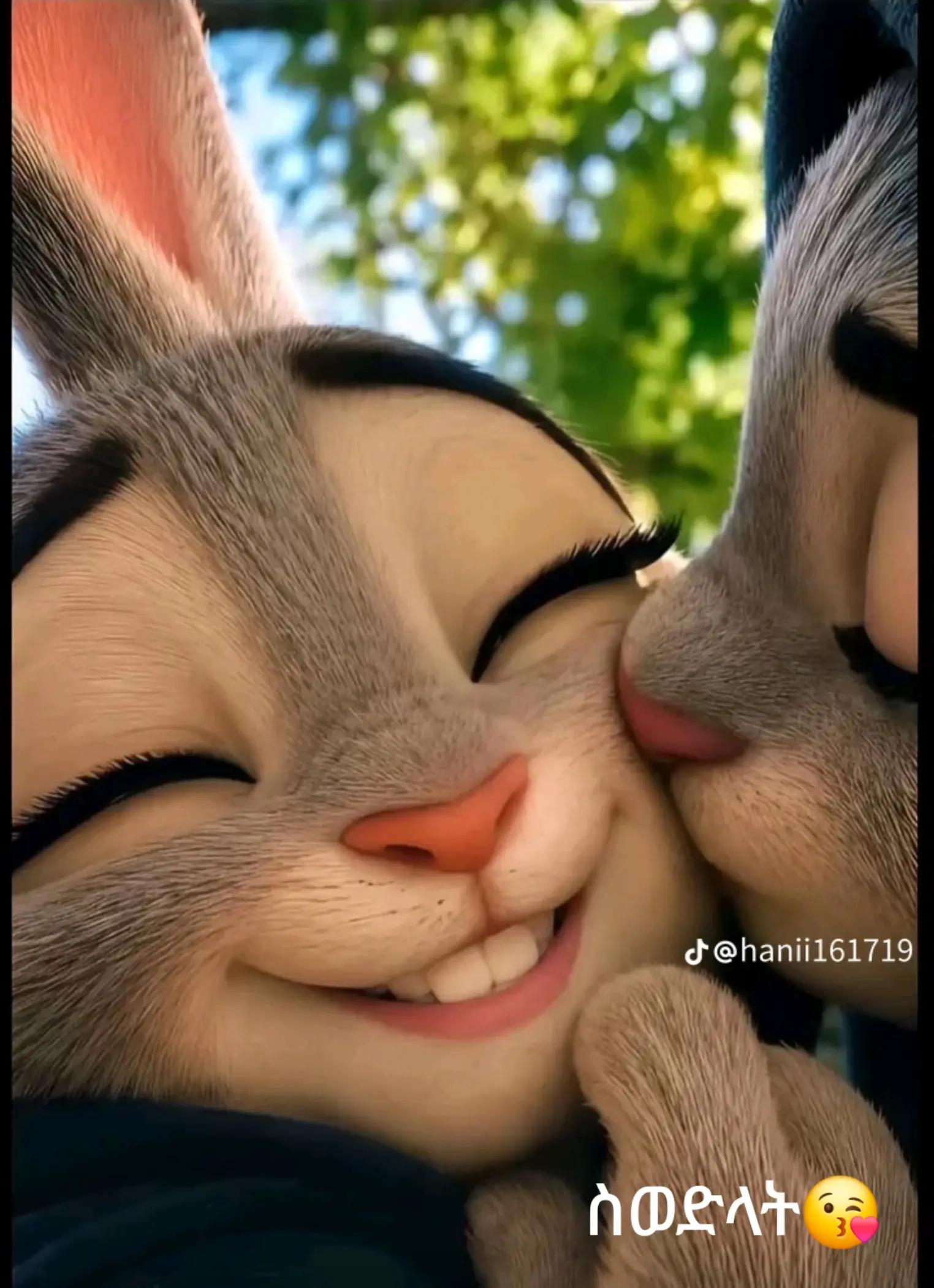 @mahita241