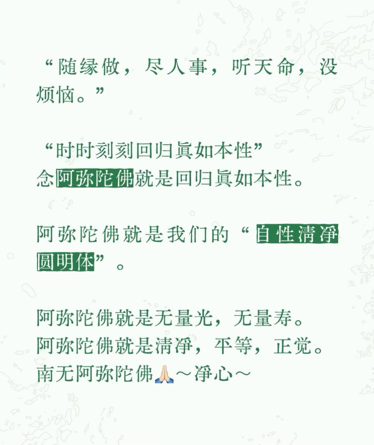 @净心