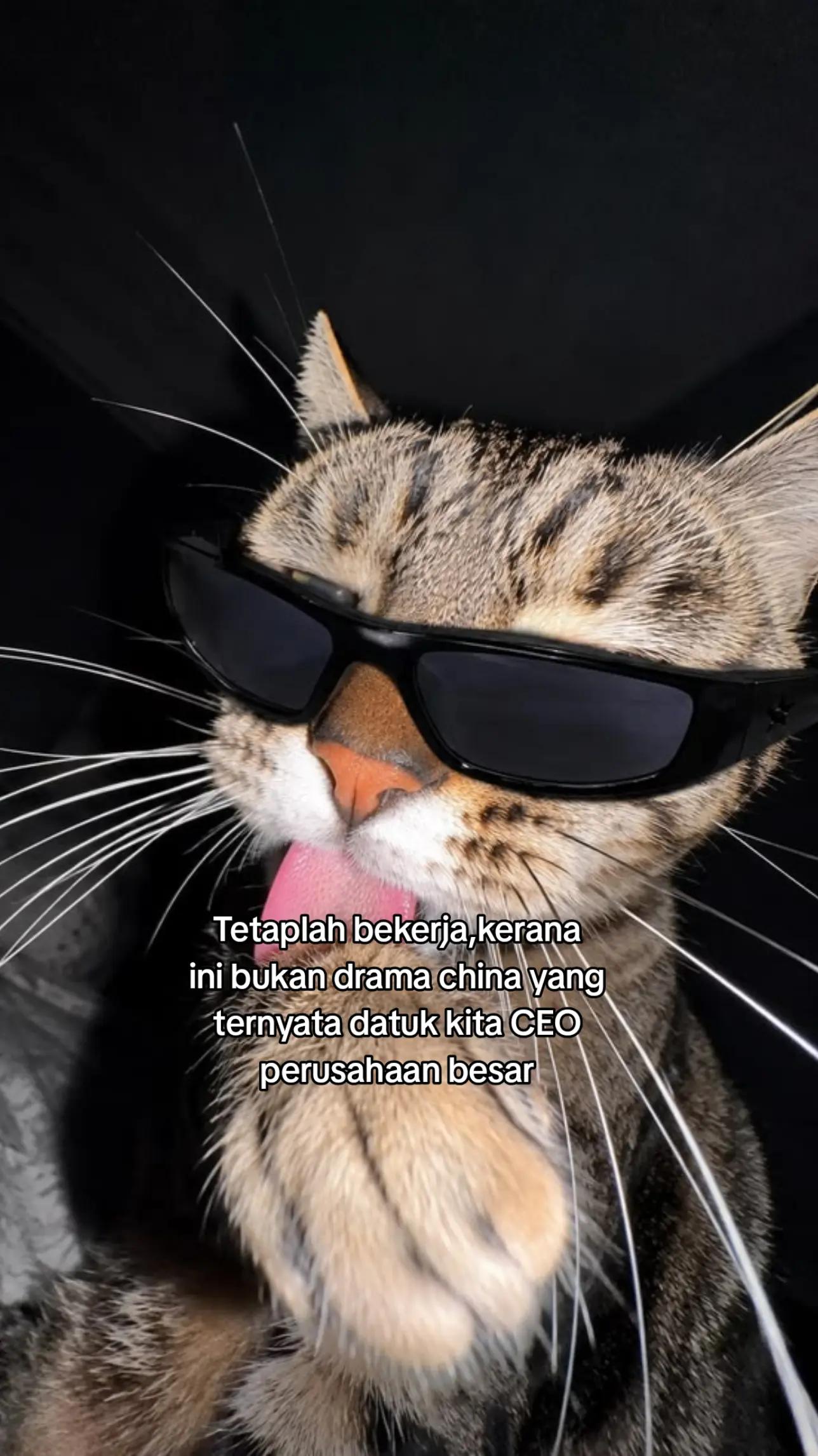 @M A N