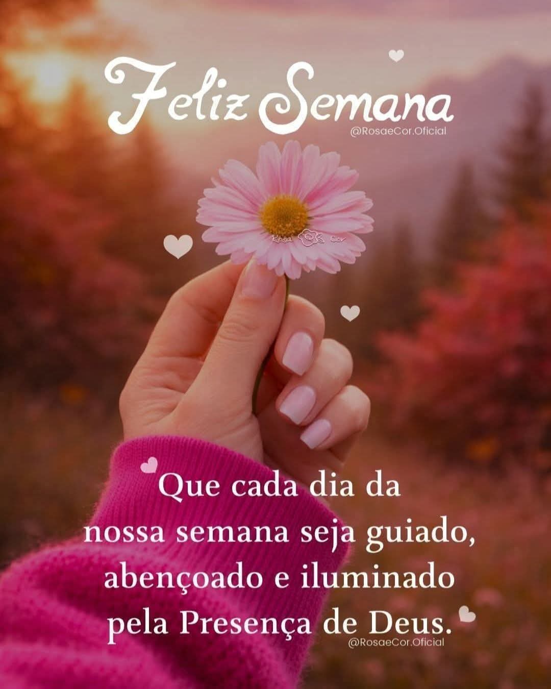 @Tânia lara