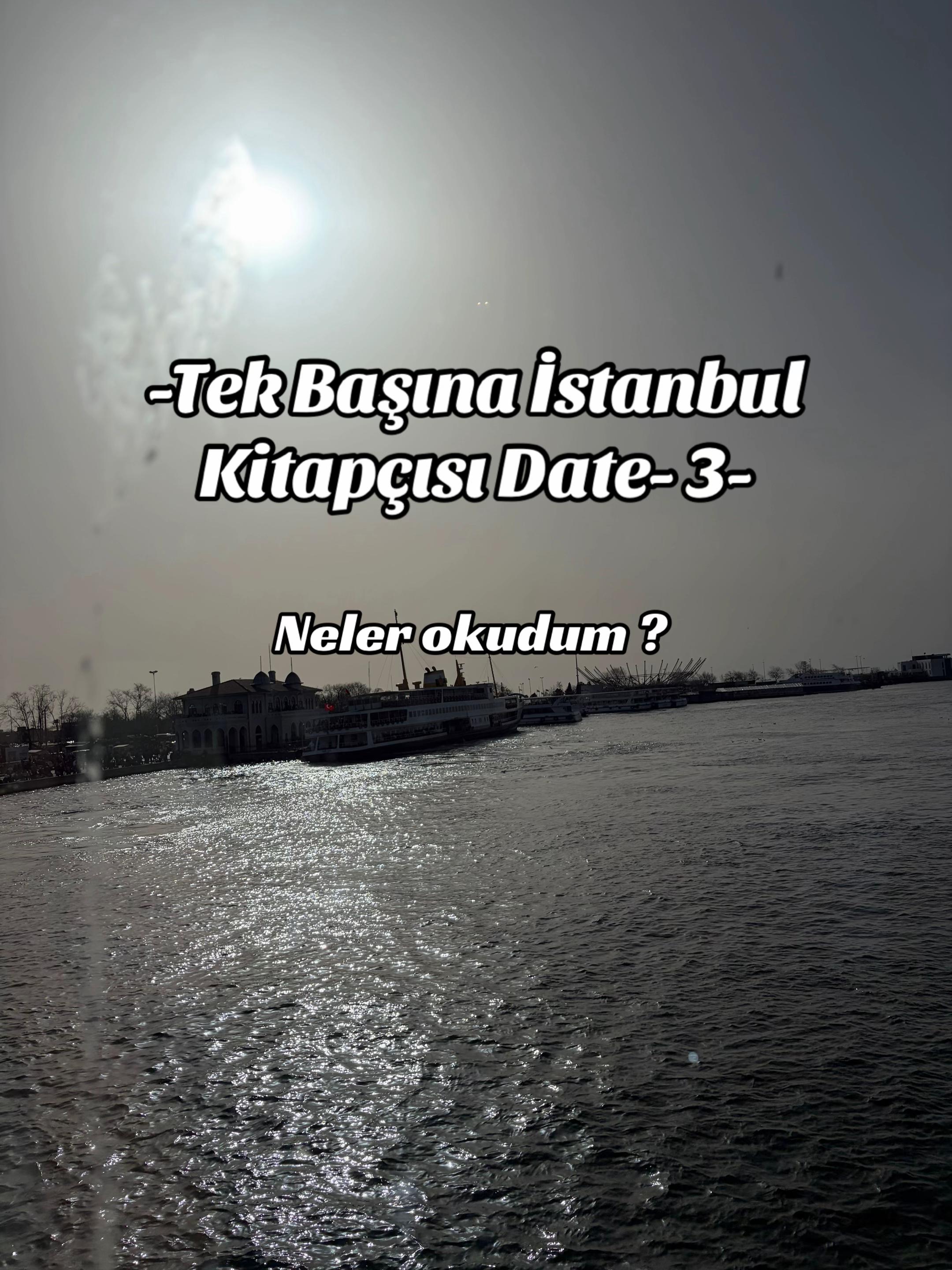 @İstanbul Kedisi