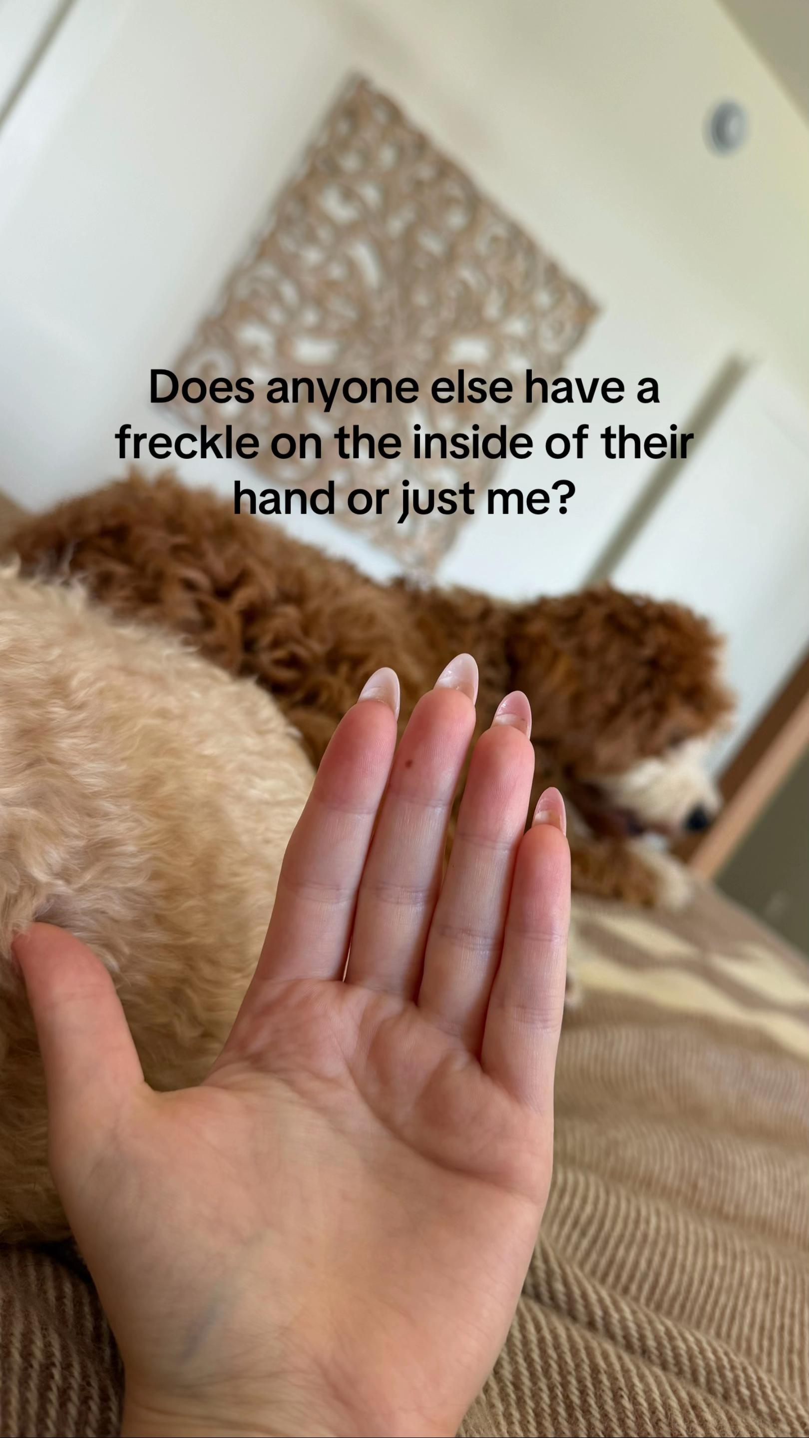 @ashleyardor