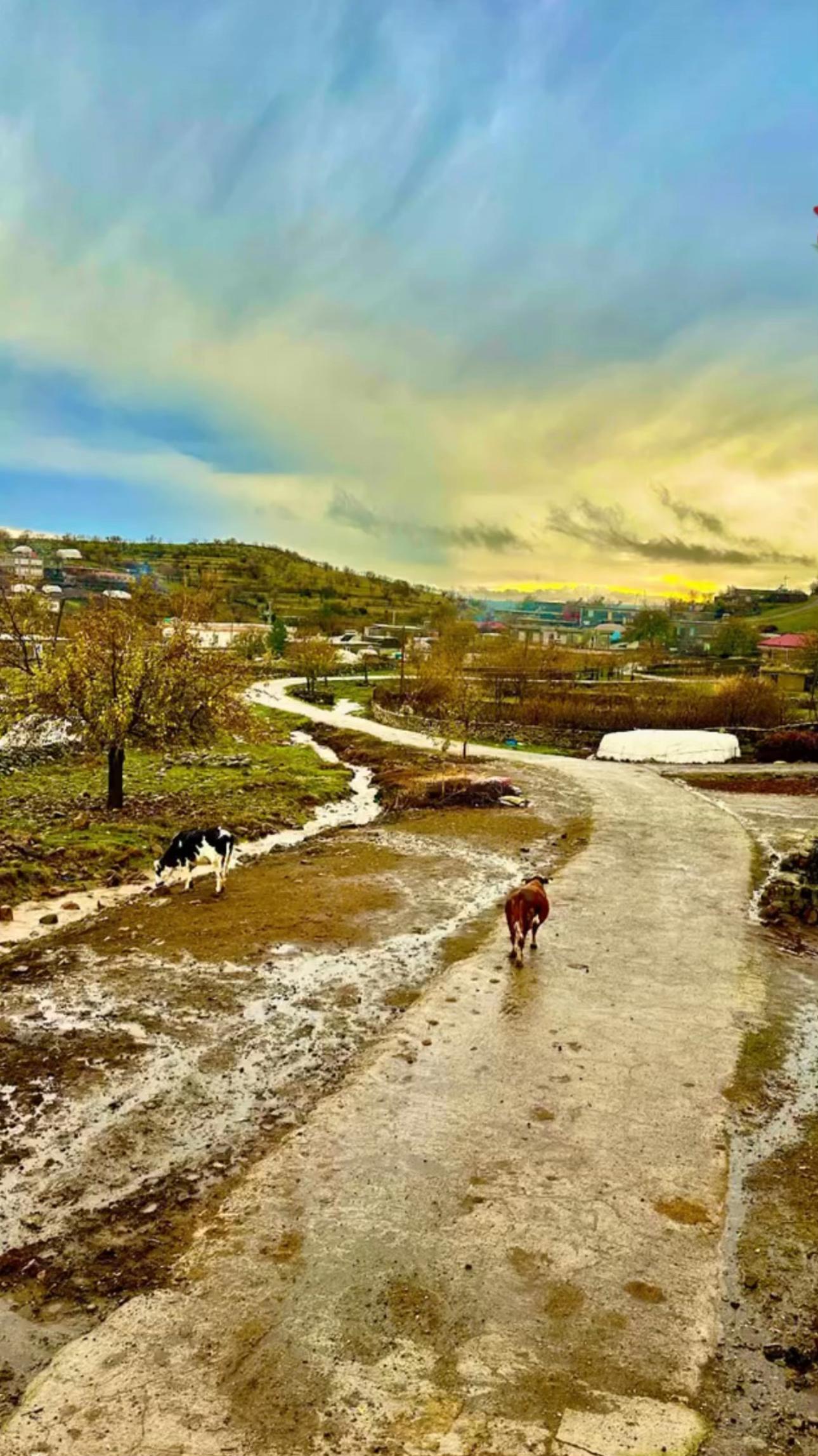 @Rıdvan Kbakan