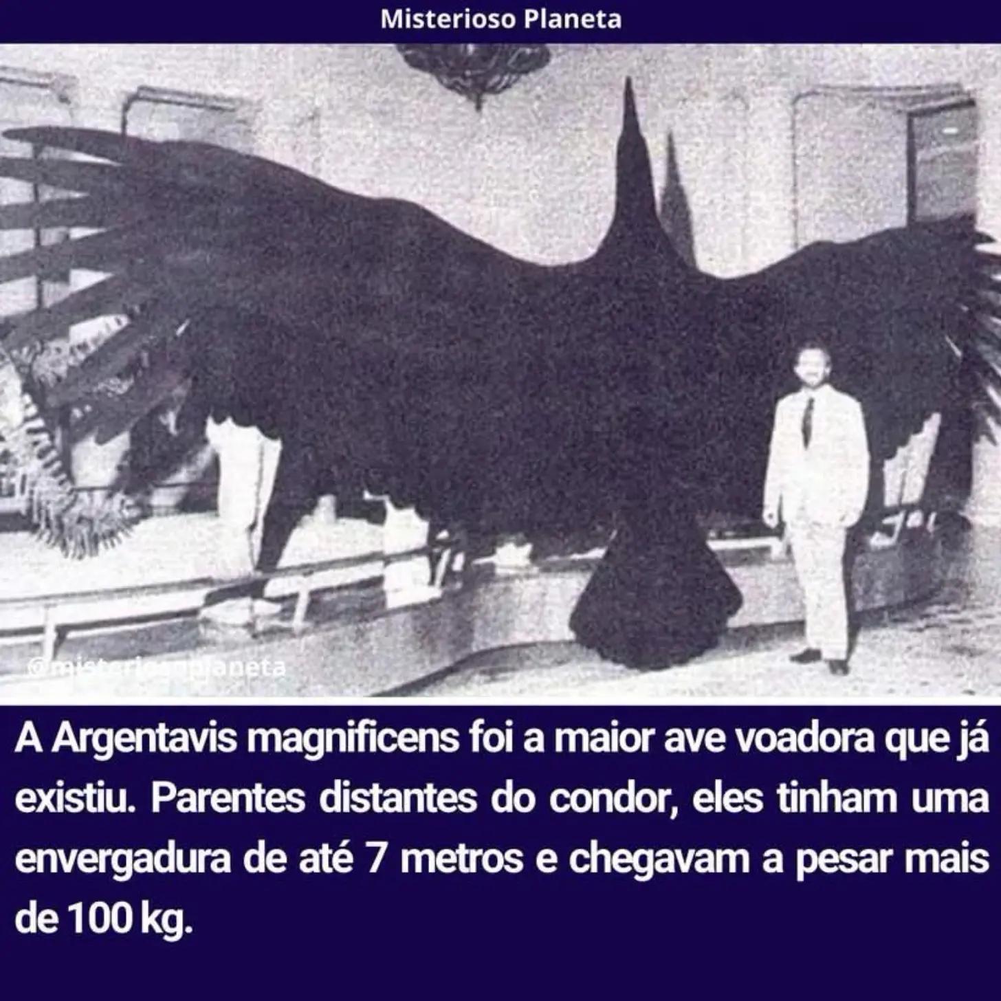 @HIST&Oacute;RIA REAIS