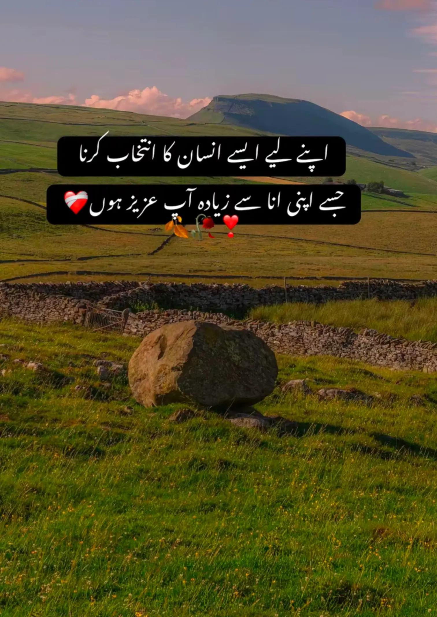 @Shafia❣️