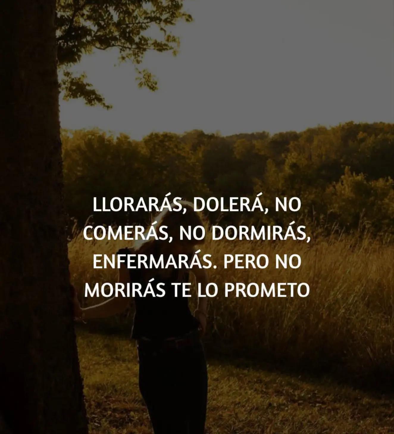 @Carolina Rossetti