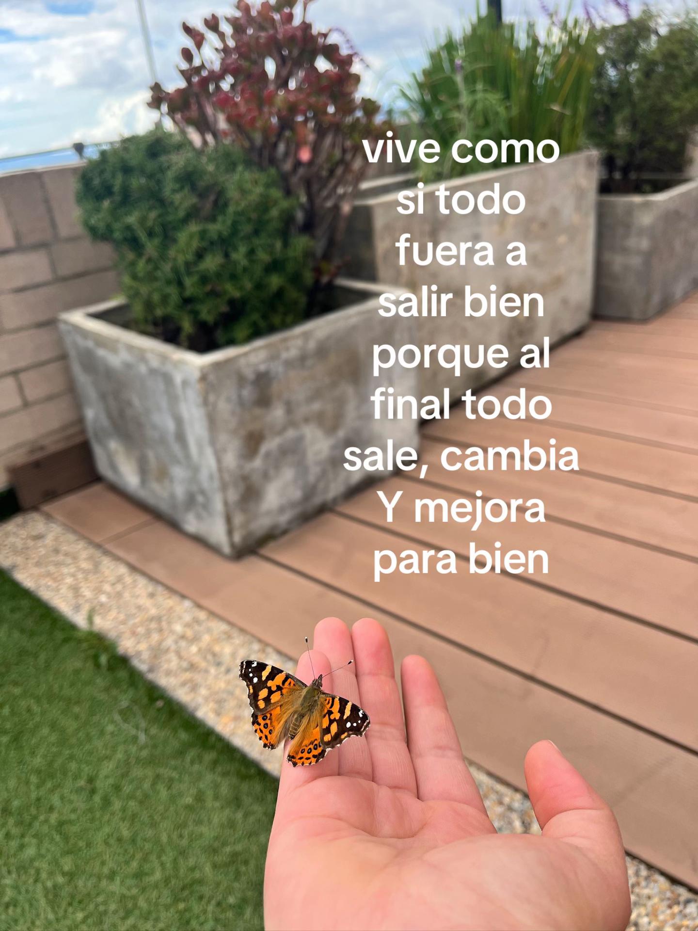 @Majo