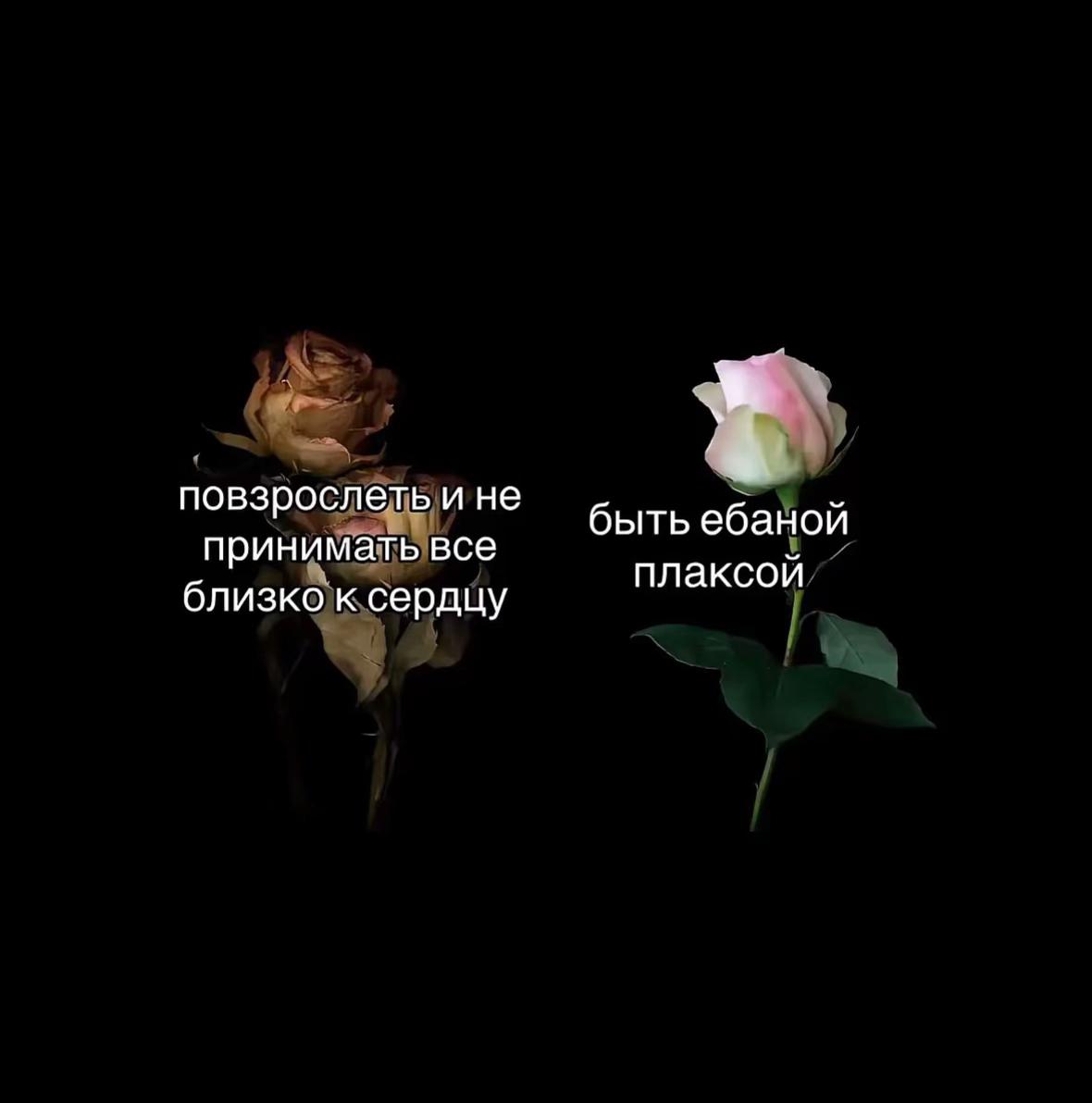 @алинка🫶