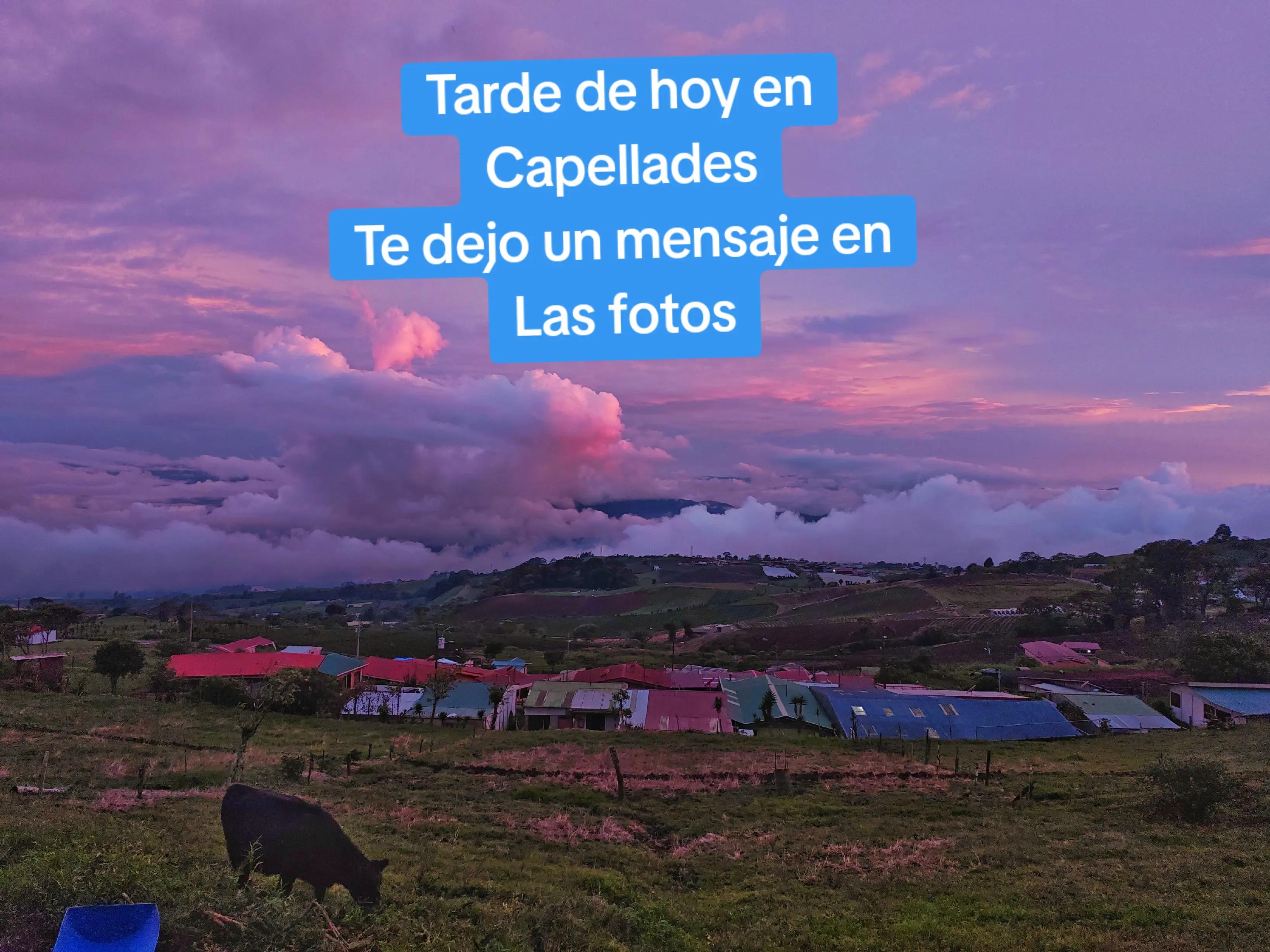 @VisitCartago