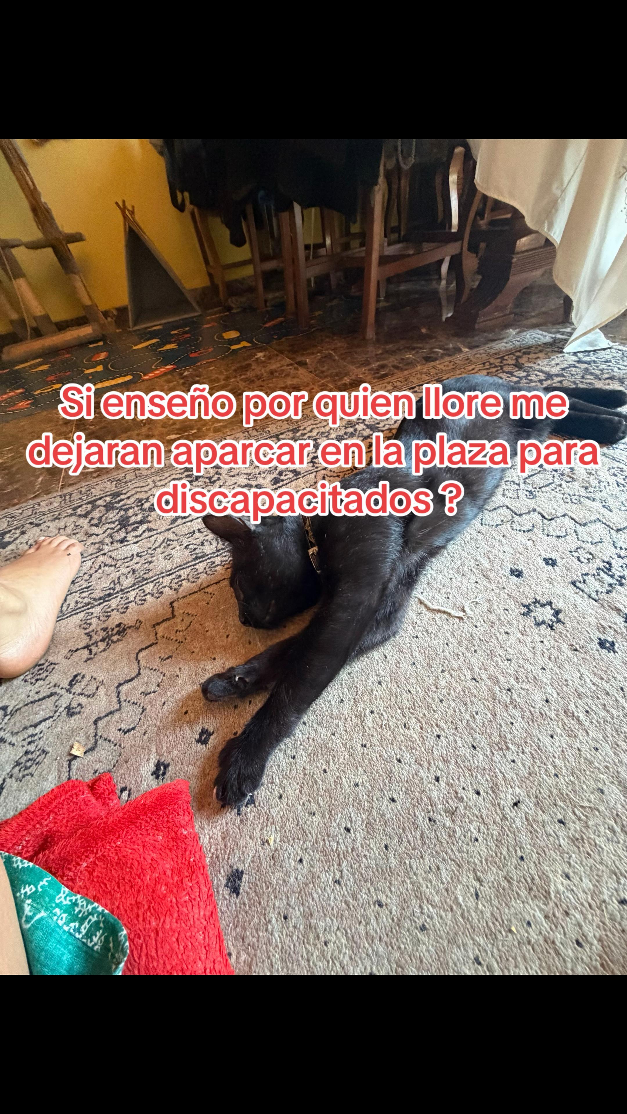 @Estrella