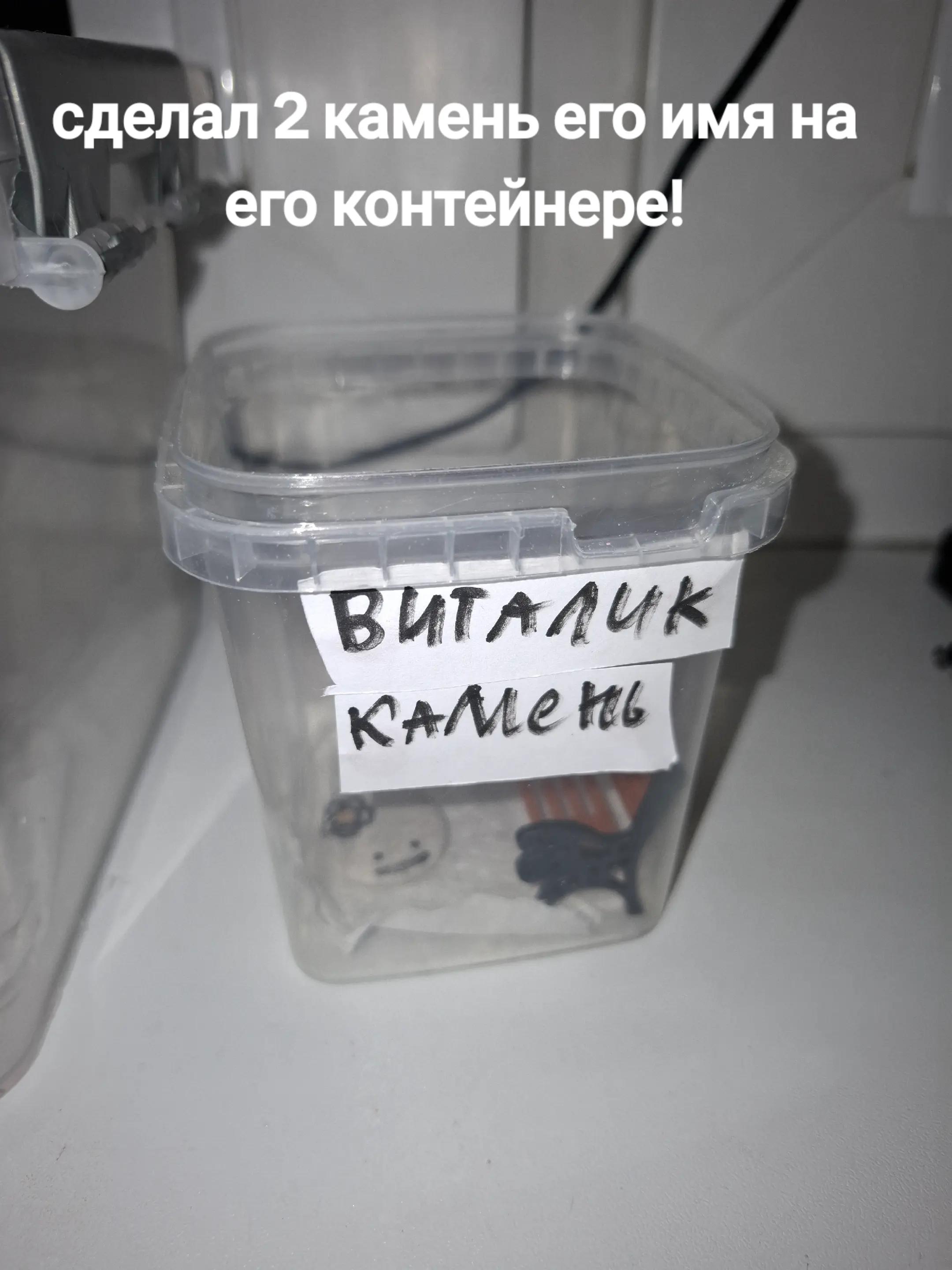 @хомяк | гыф гыф