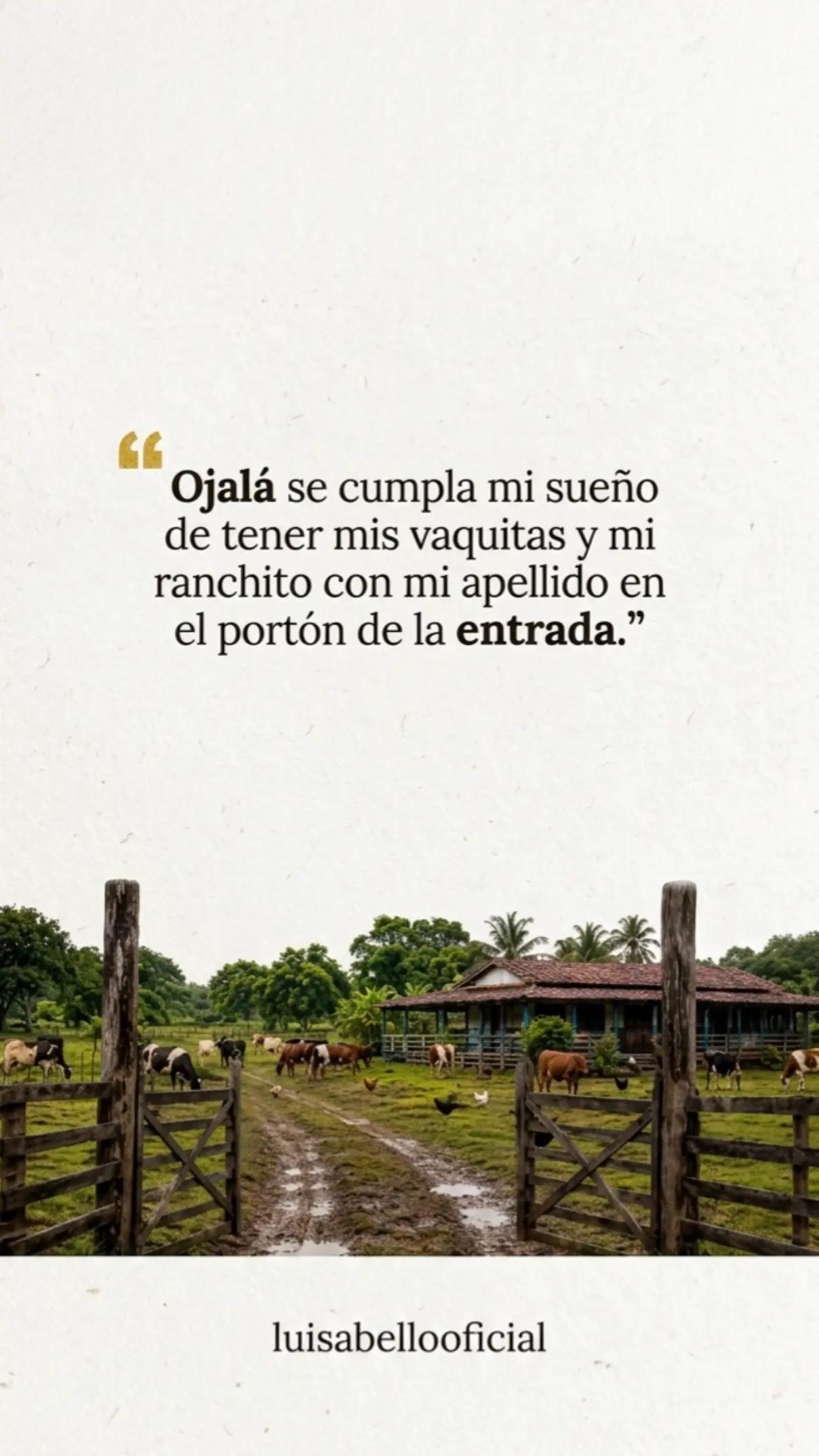 @luis abello