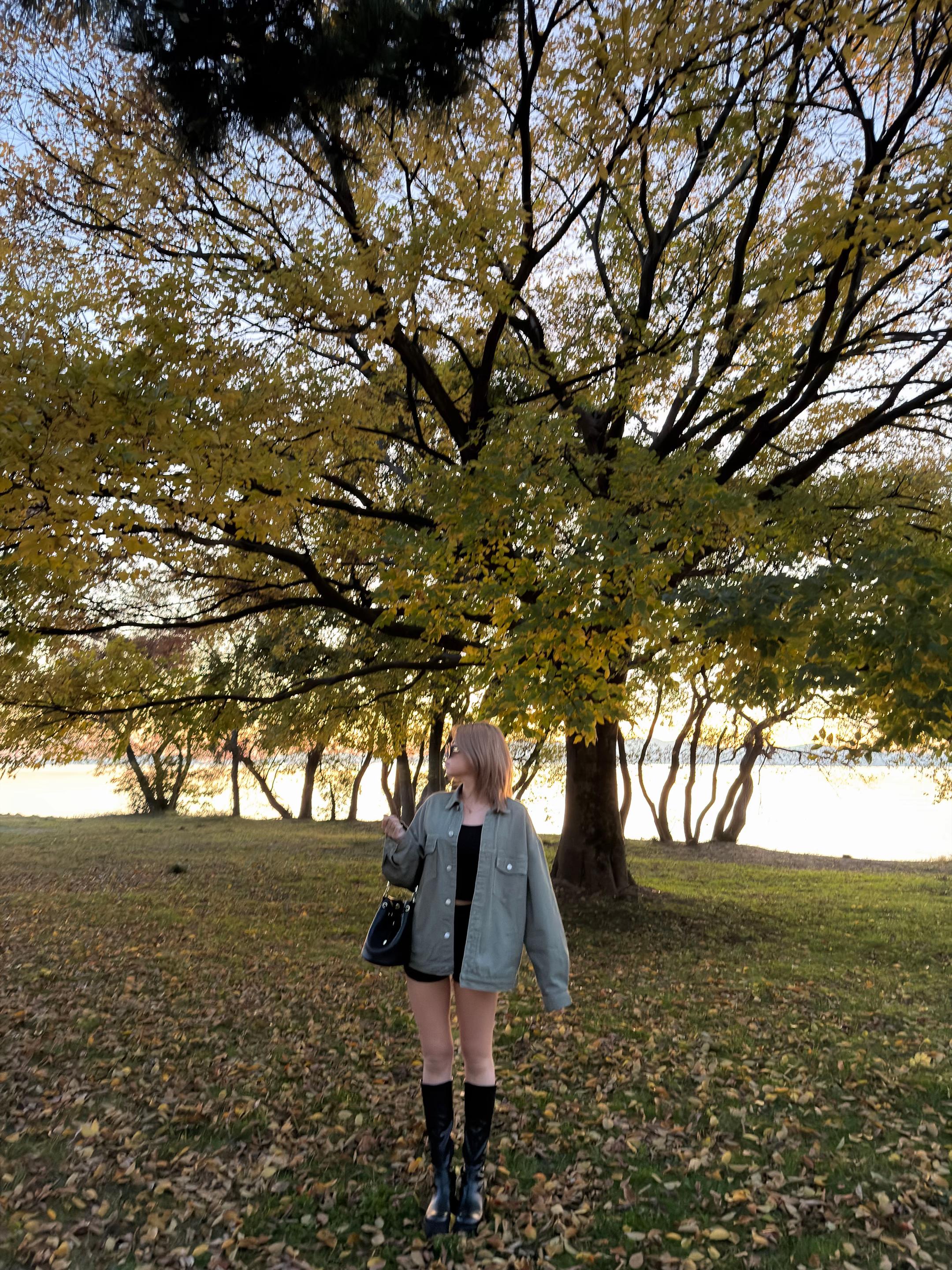 @さくら