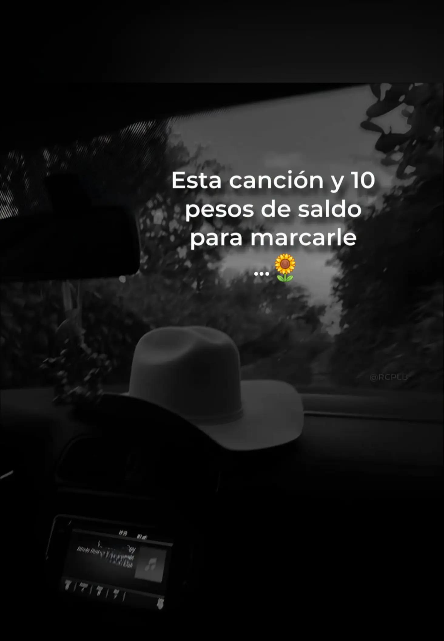 @🌻 Nalle 🌻