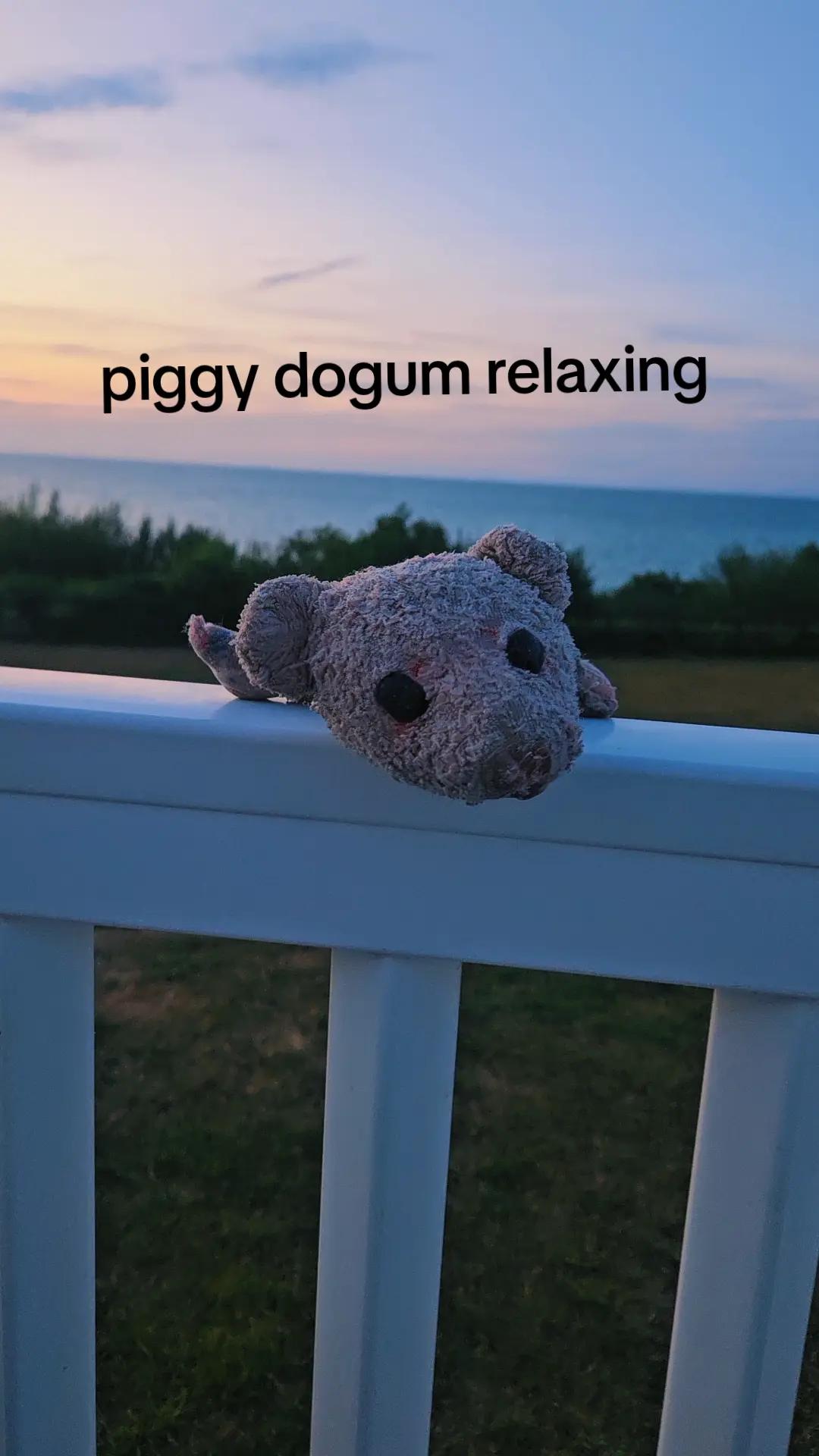 @piggy and sealy6432