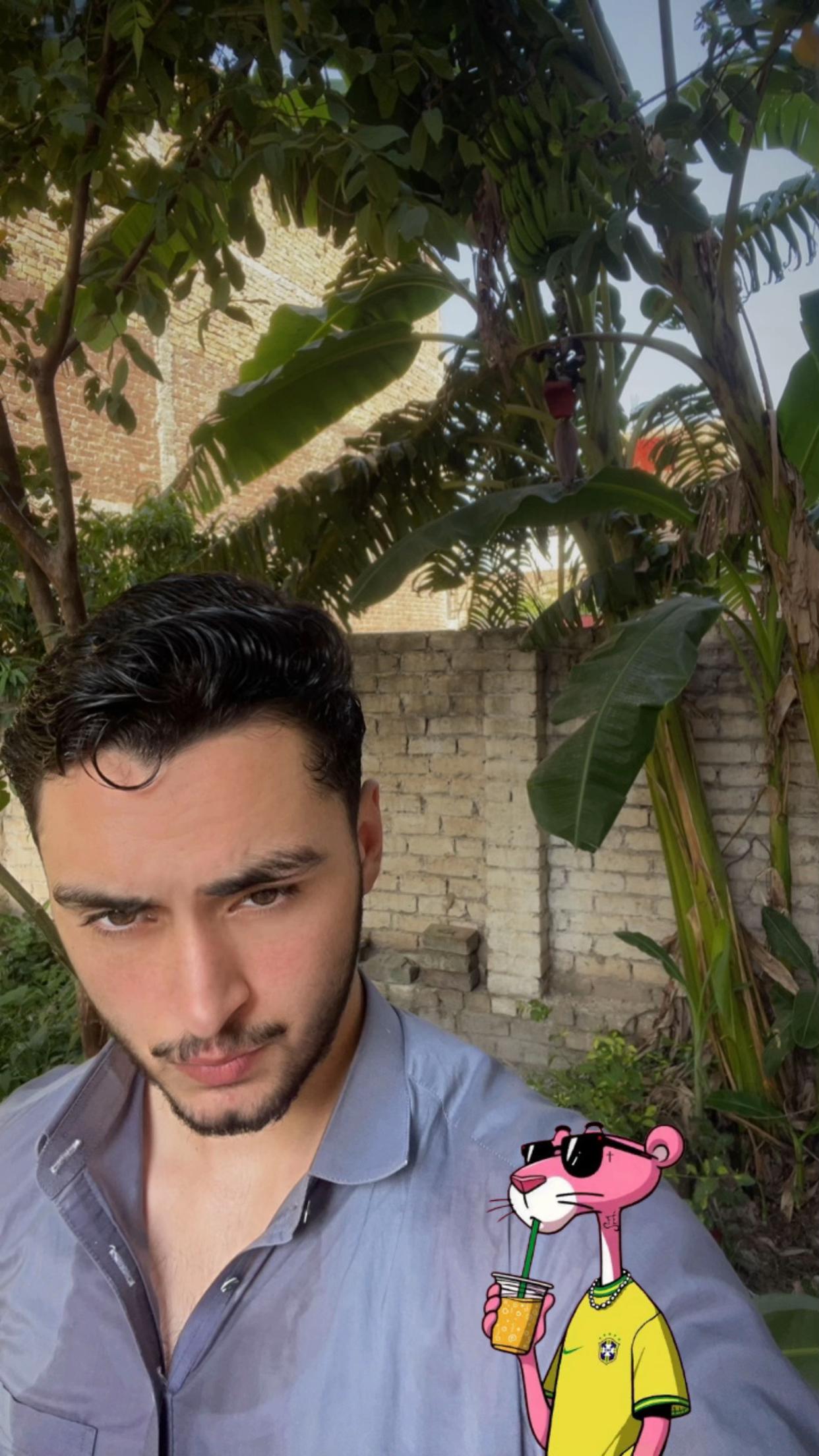 @🐊