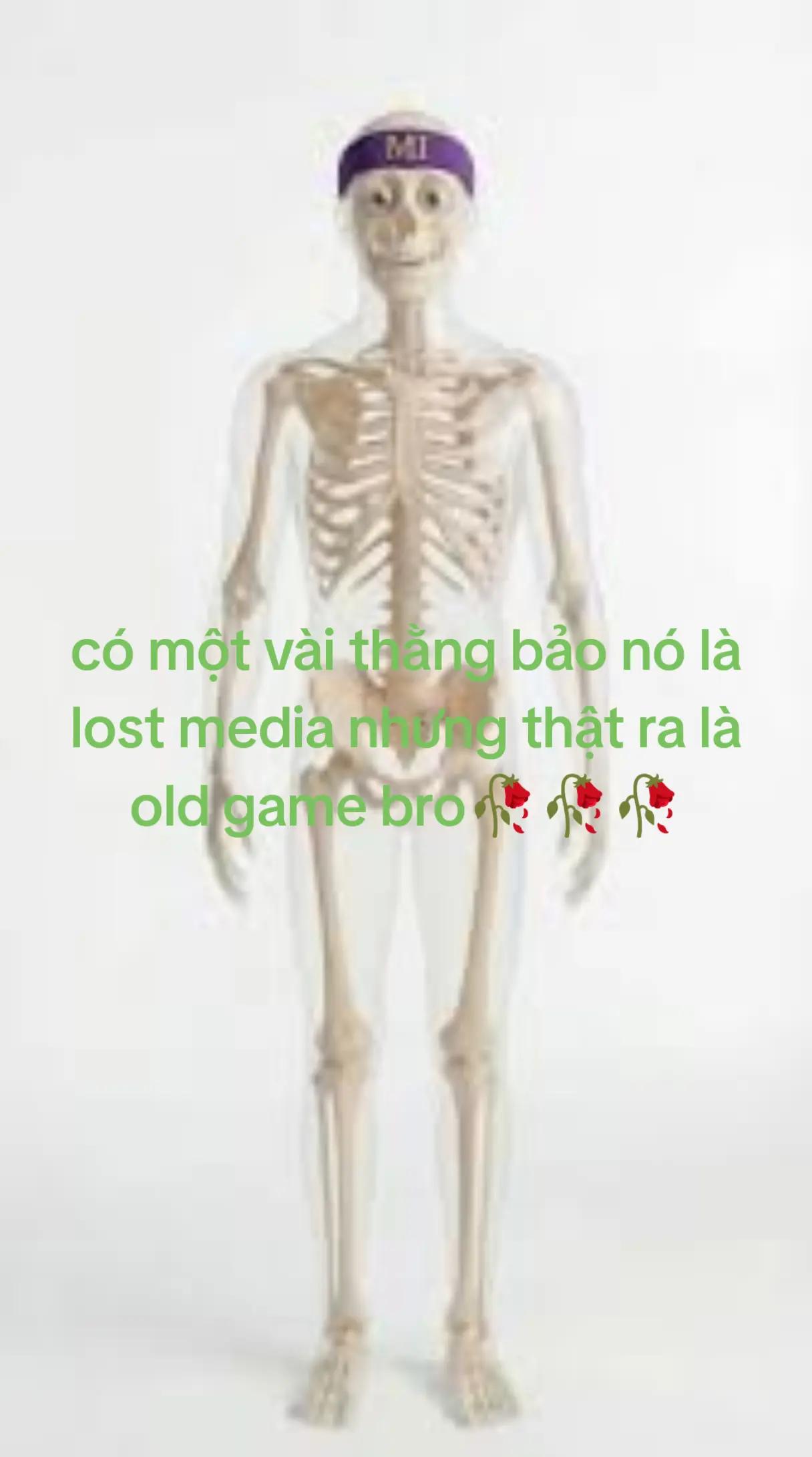@Phan Trí Nhân